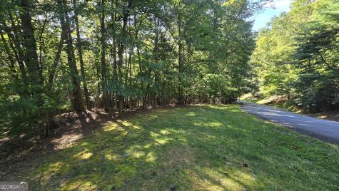 Lot 40 Double Knob Hayesville NC 28904