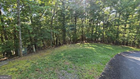 Lot 40 Double Knob Hayesville NC 28904