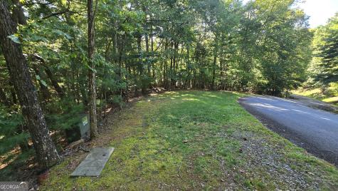 Lot 40 Double Knob Hayesville NC 28904