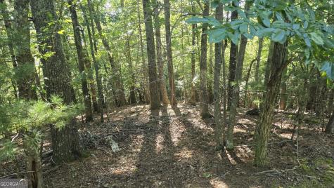 Lot 40 Double Knob Hayesville NC 28904