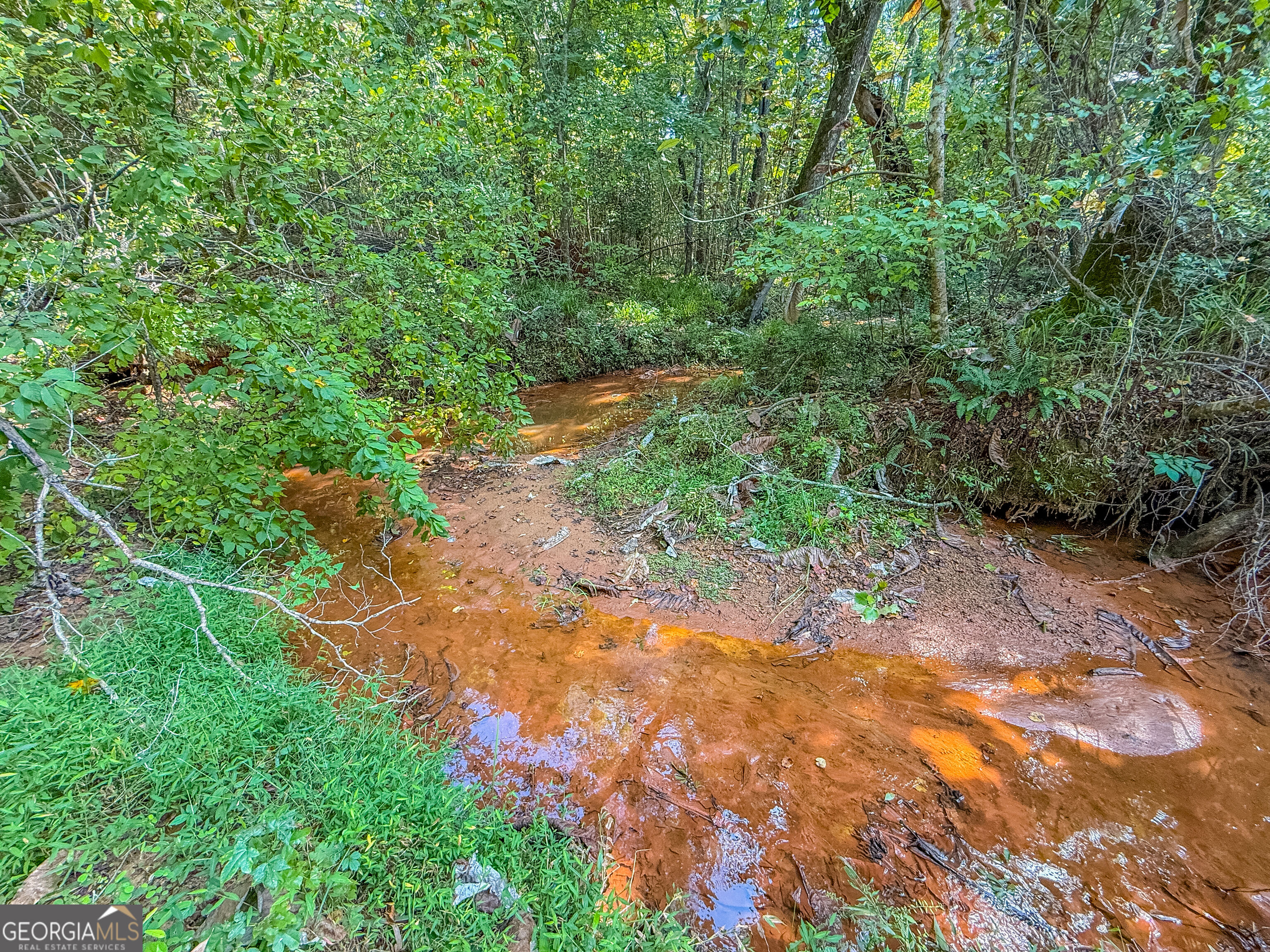 132 Acres Carlisle Gap Road Woodland GA 31836