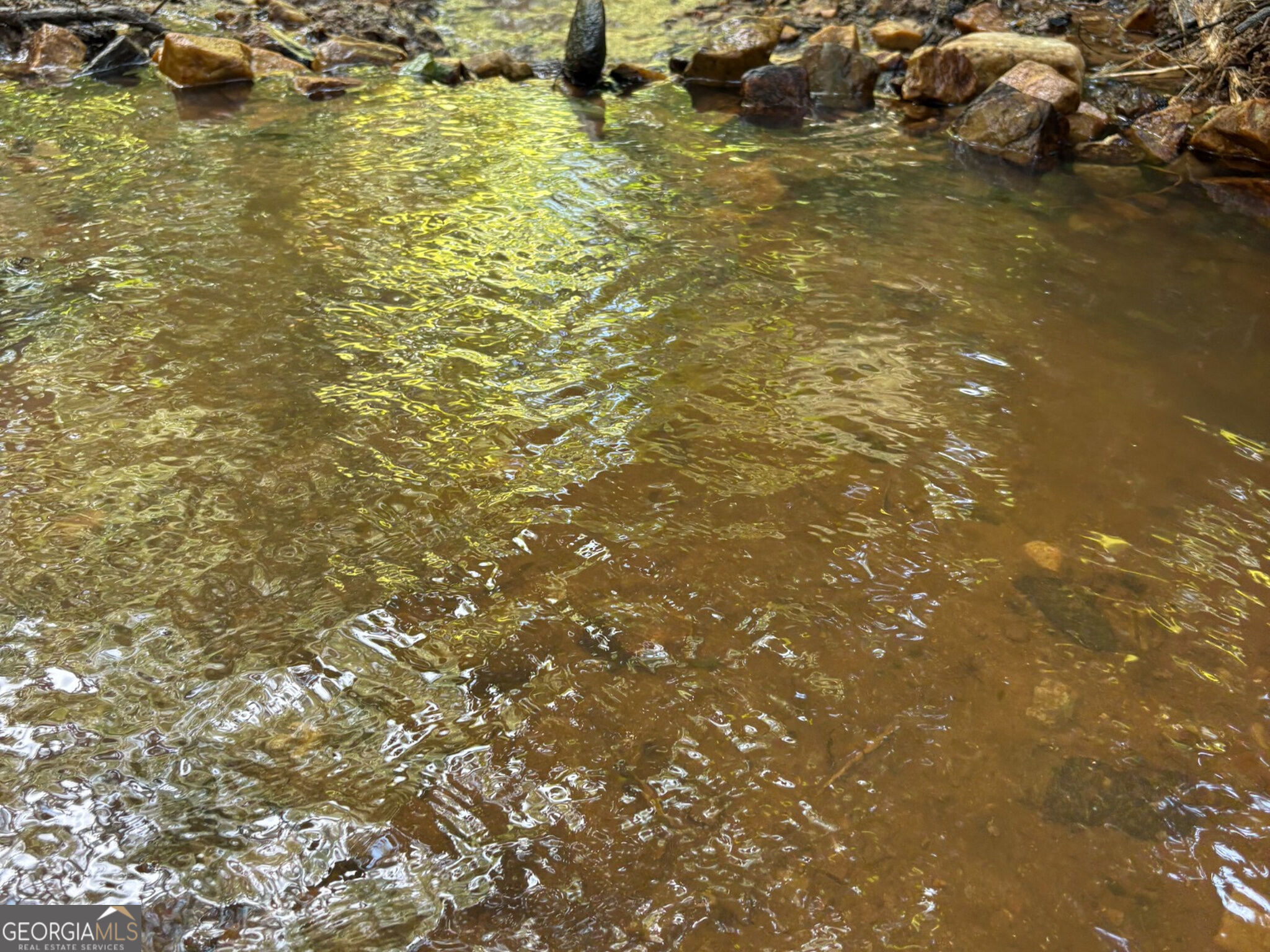 132 Acres Carlisle Gap Road Woodland GA 31836
