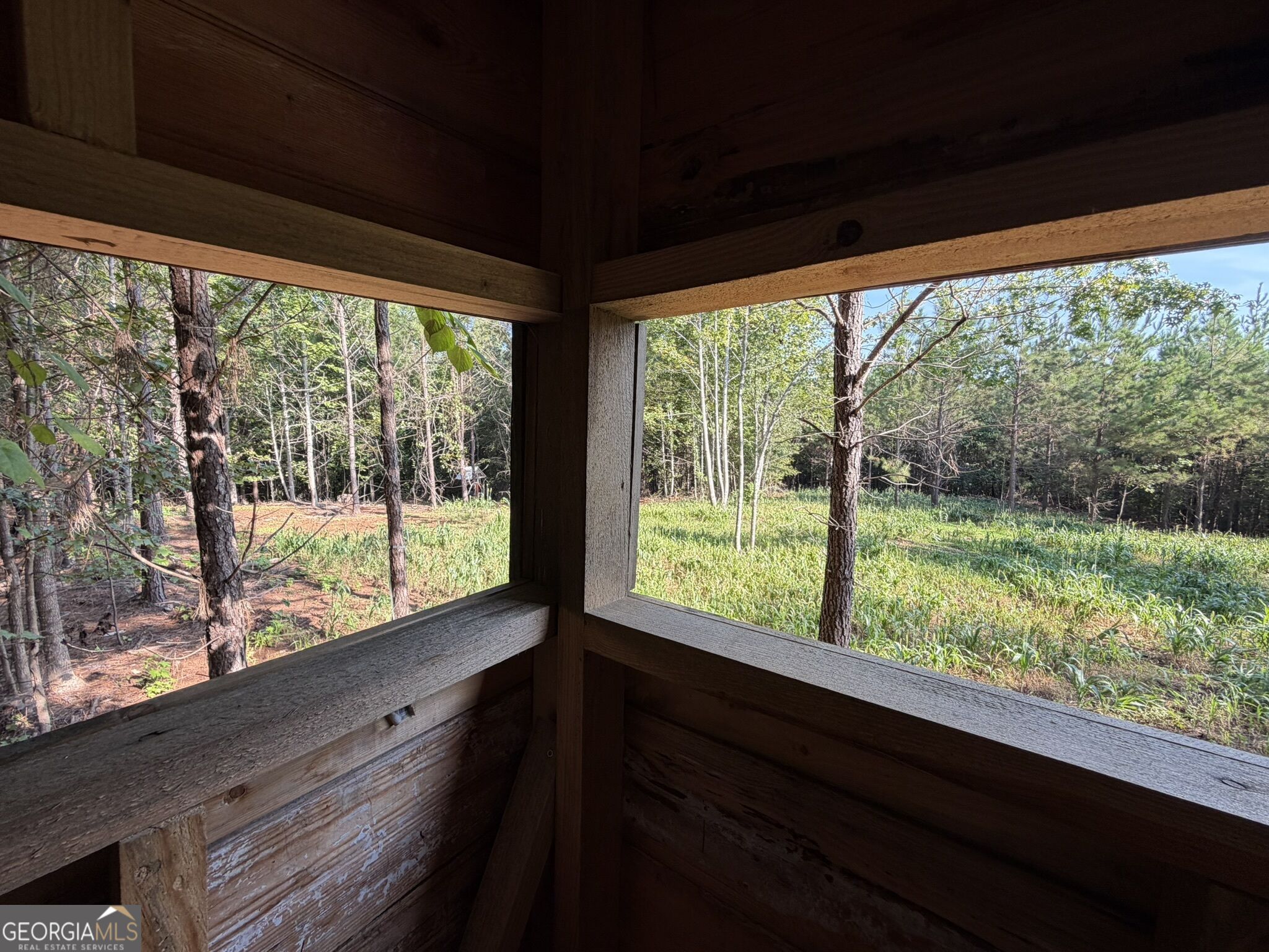 132 Acres Carlisle Gap Road Woodland GA 31836