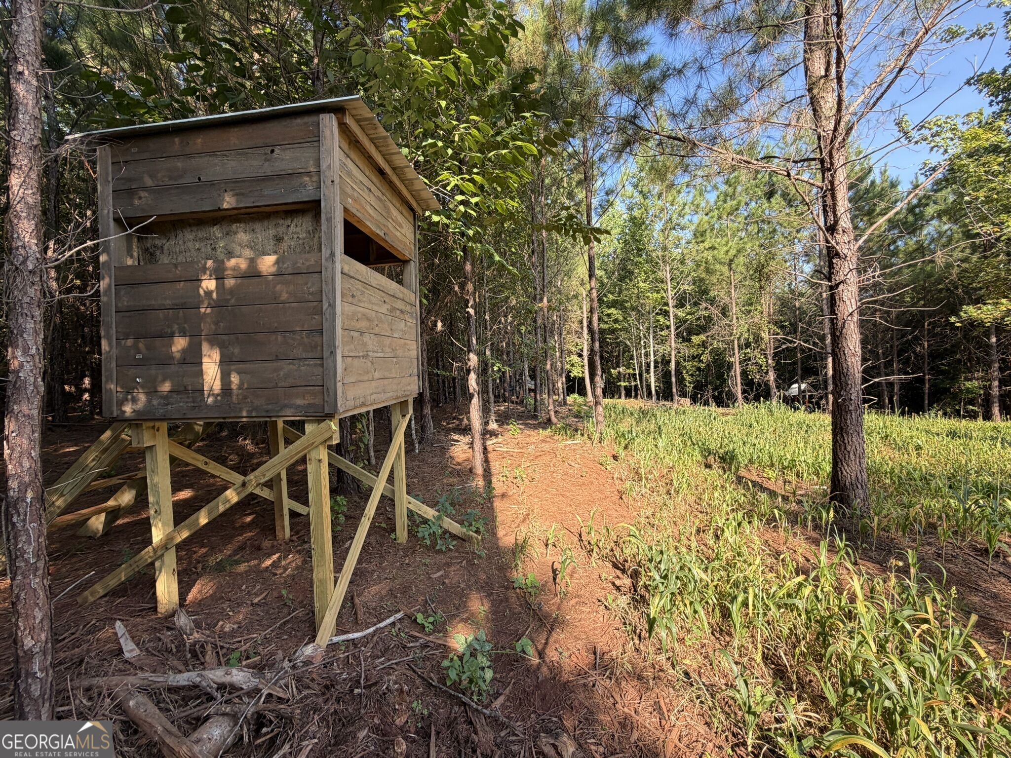 132 Acres Carlisle Gap Road Woodland GA 31836
