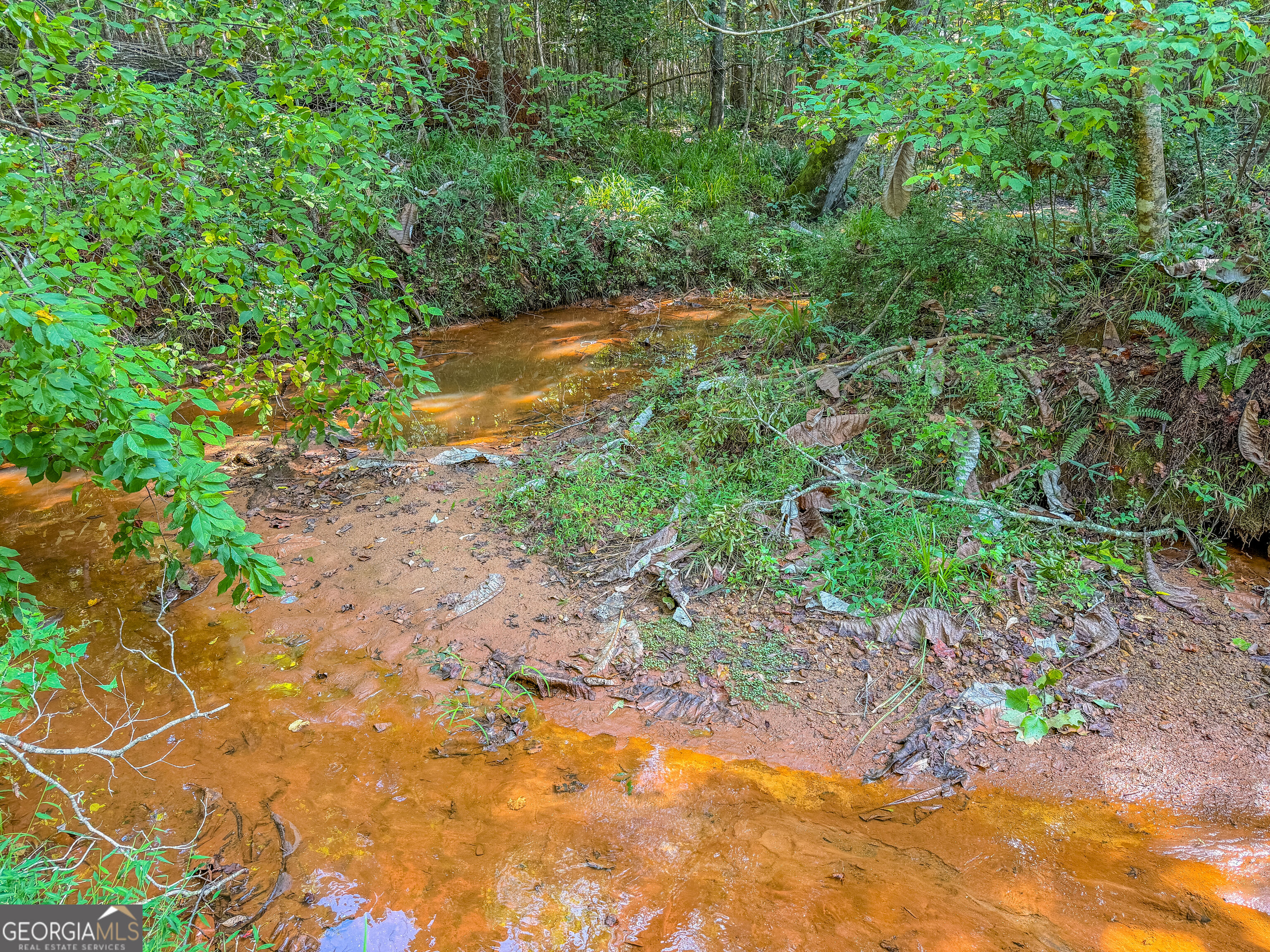 132 Acres Carlisle Gap Road Woodland GA 31836