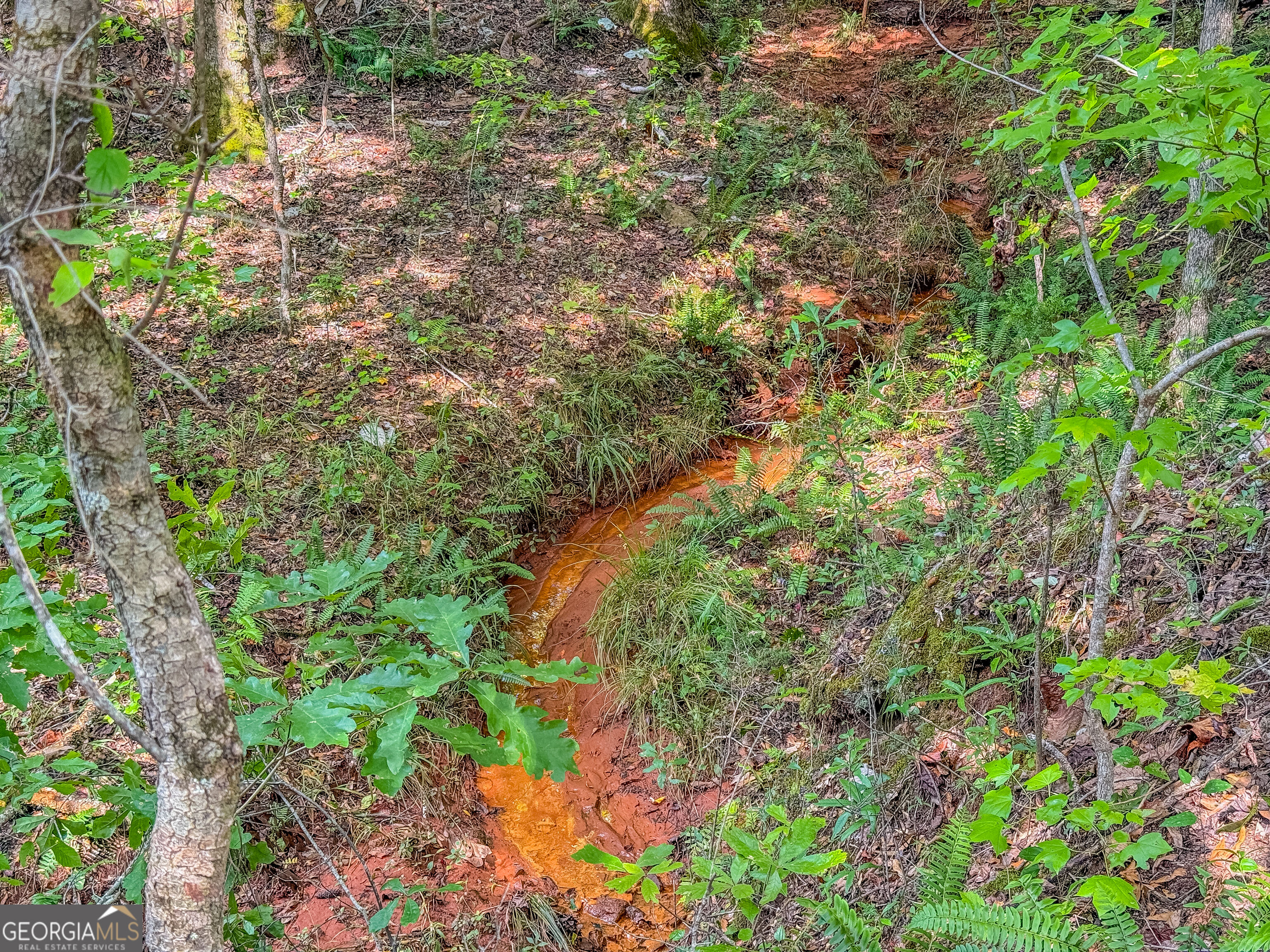 132 Acres Carlisle Gap Road Woodland GA 31836