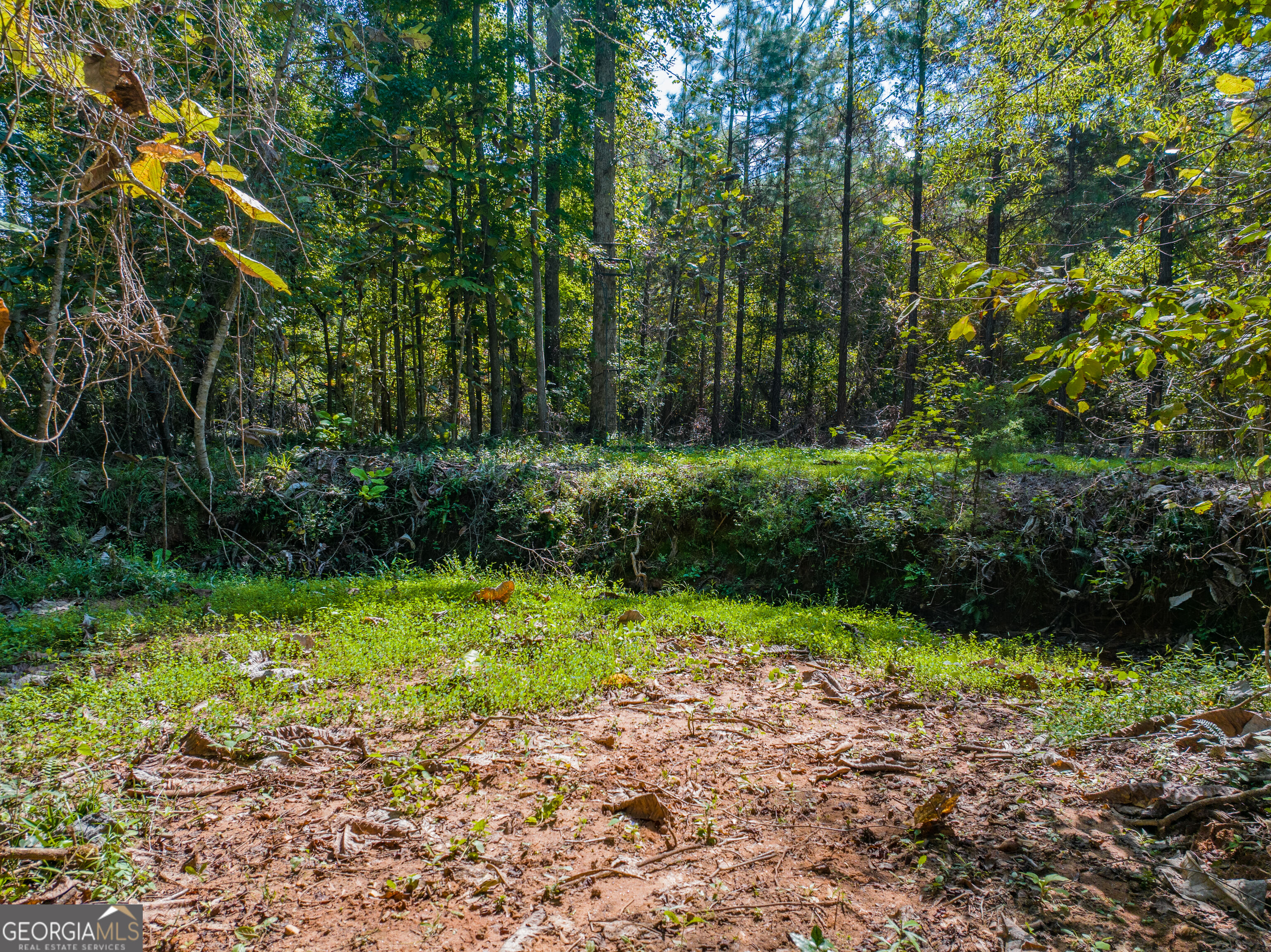 132 Acres Carlisle Gap Road Woodland GA 31836