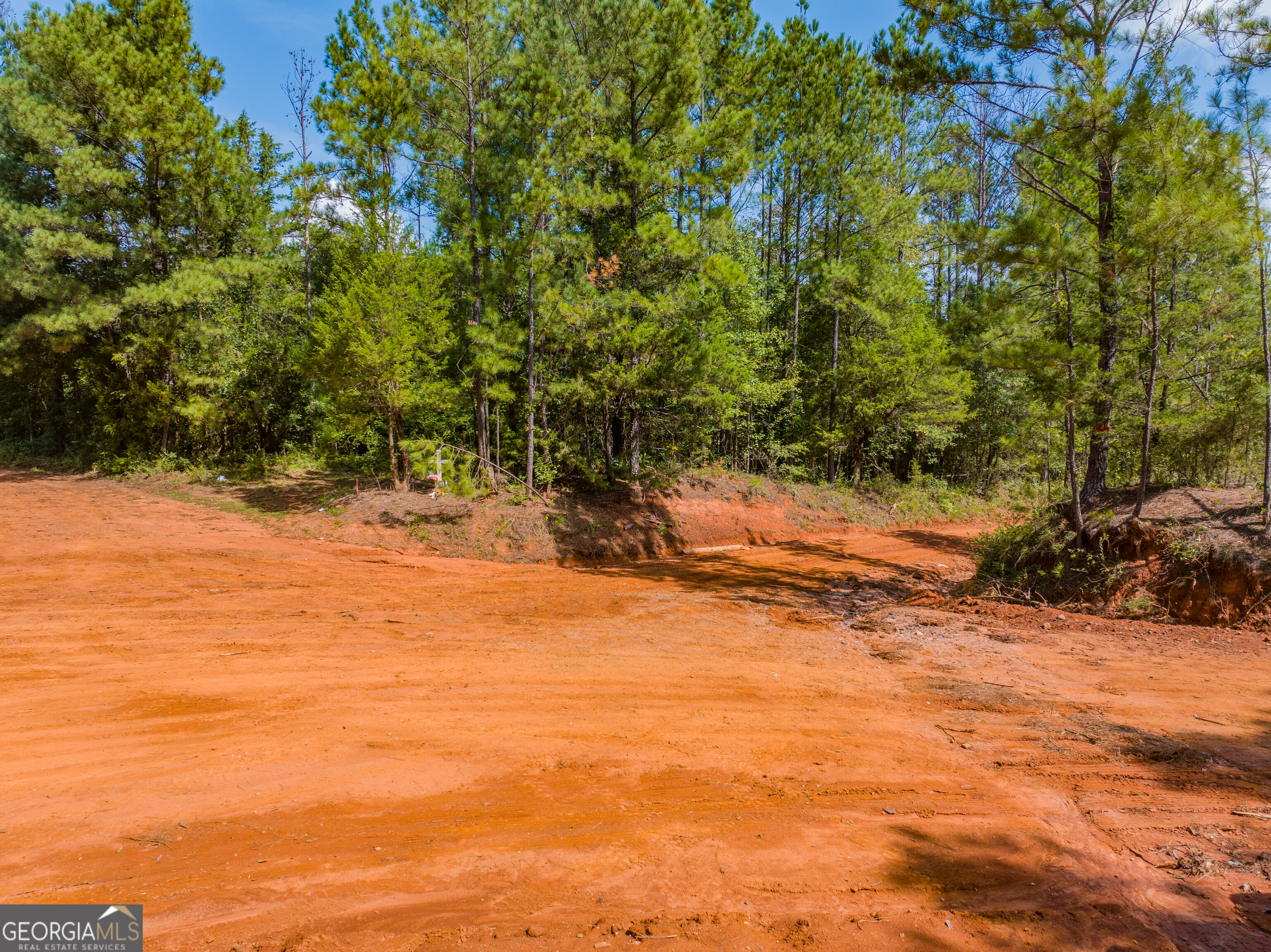 132 Acres Carlisle Gap Road Woodland GA 31836