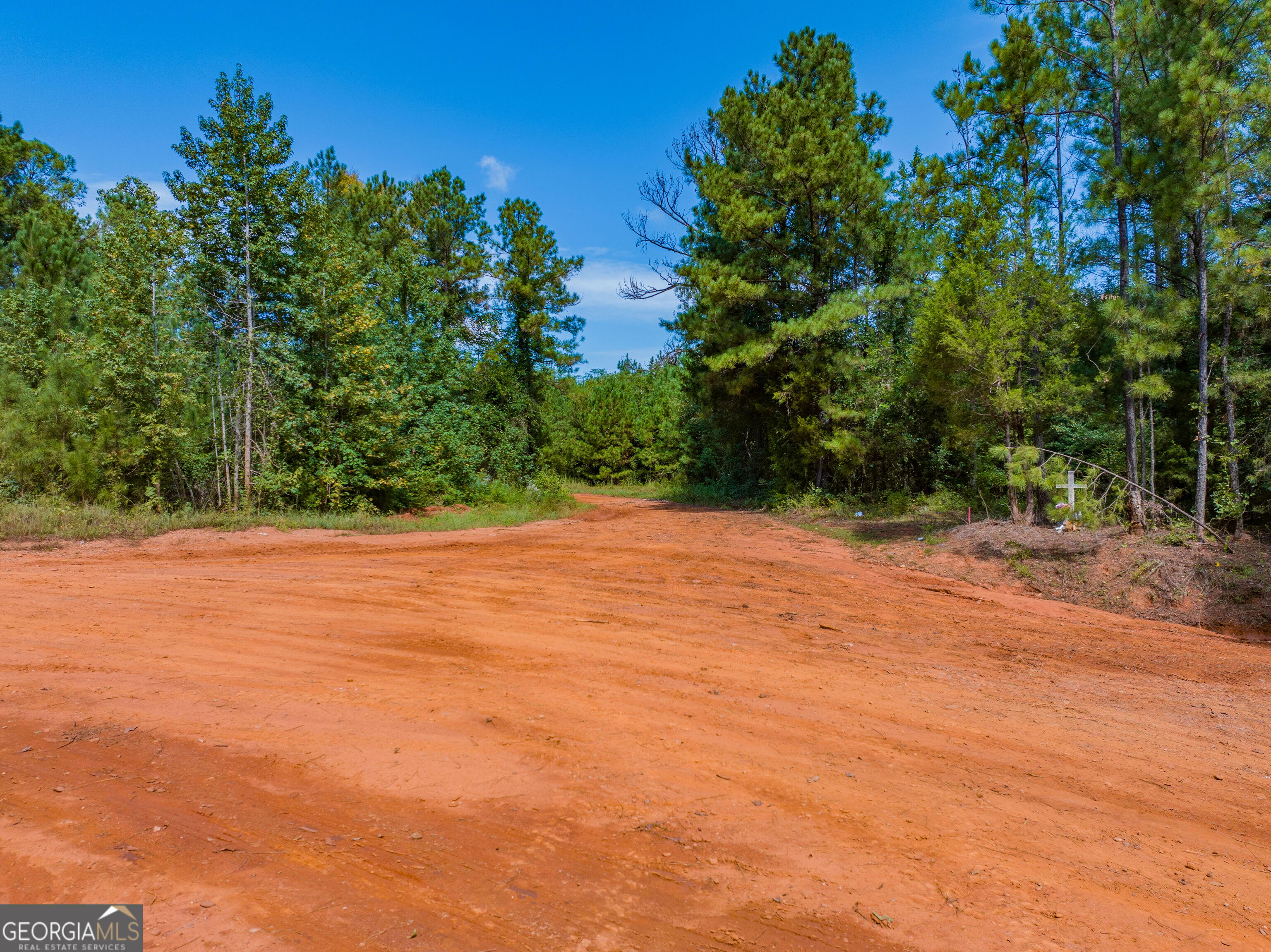 132 Acres Carlisle Gap Road Woodland GA 31836