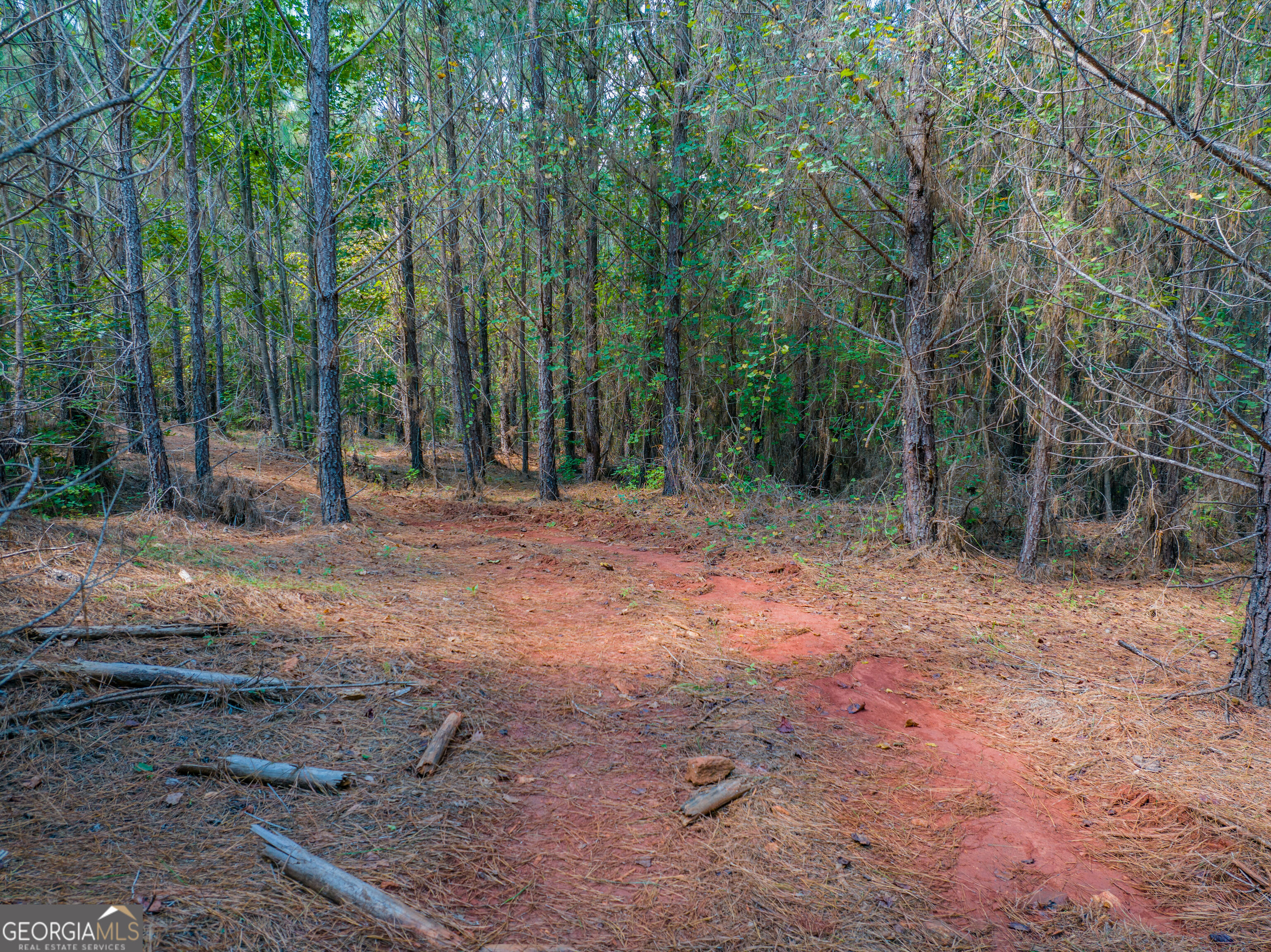 132 Acres Carlisle Gap Road Woodland GA 31836