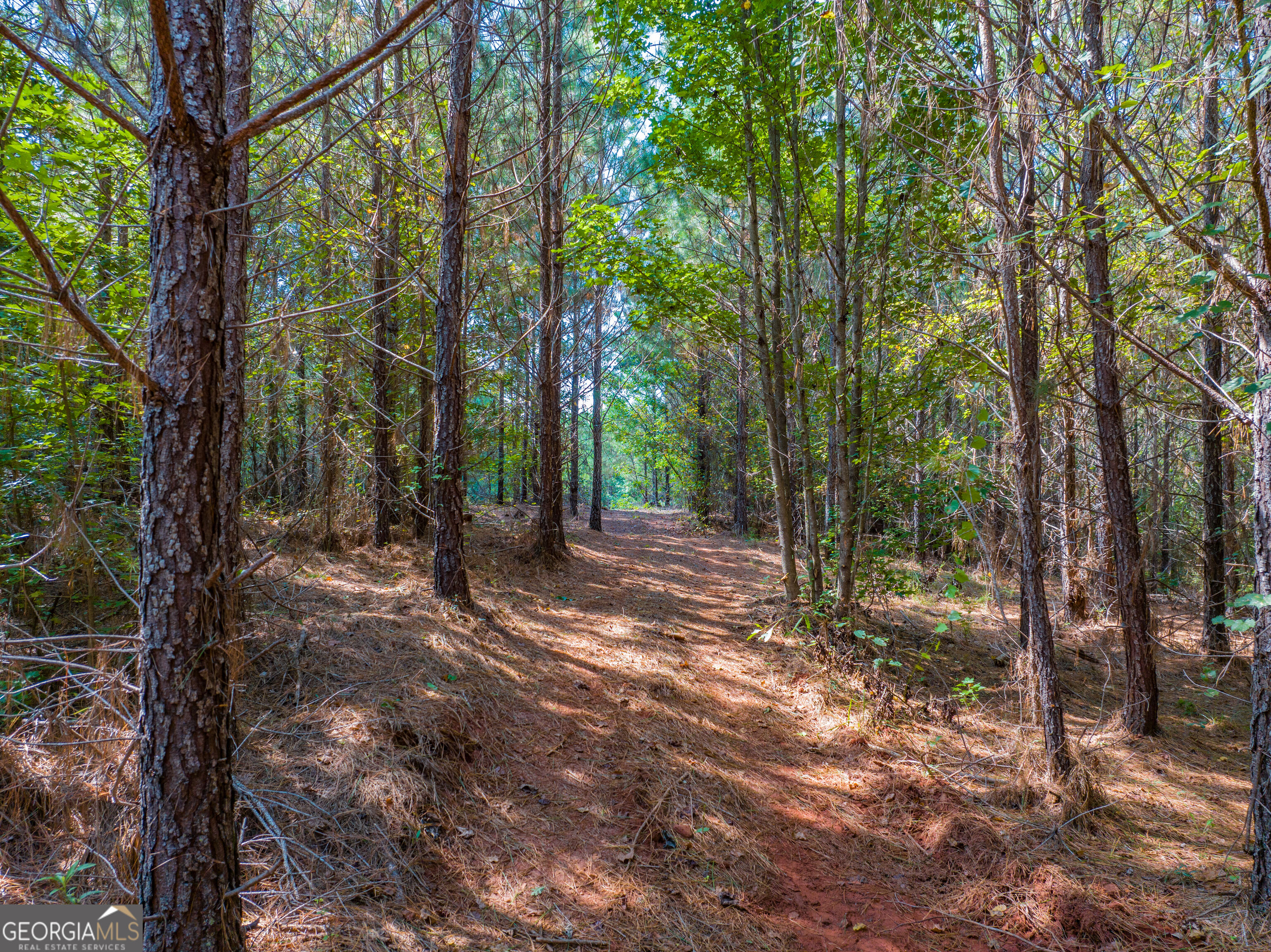 132 Acres Carlisle Gap Road Woodland GA 31836