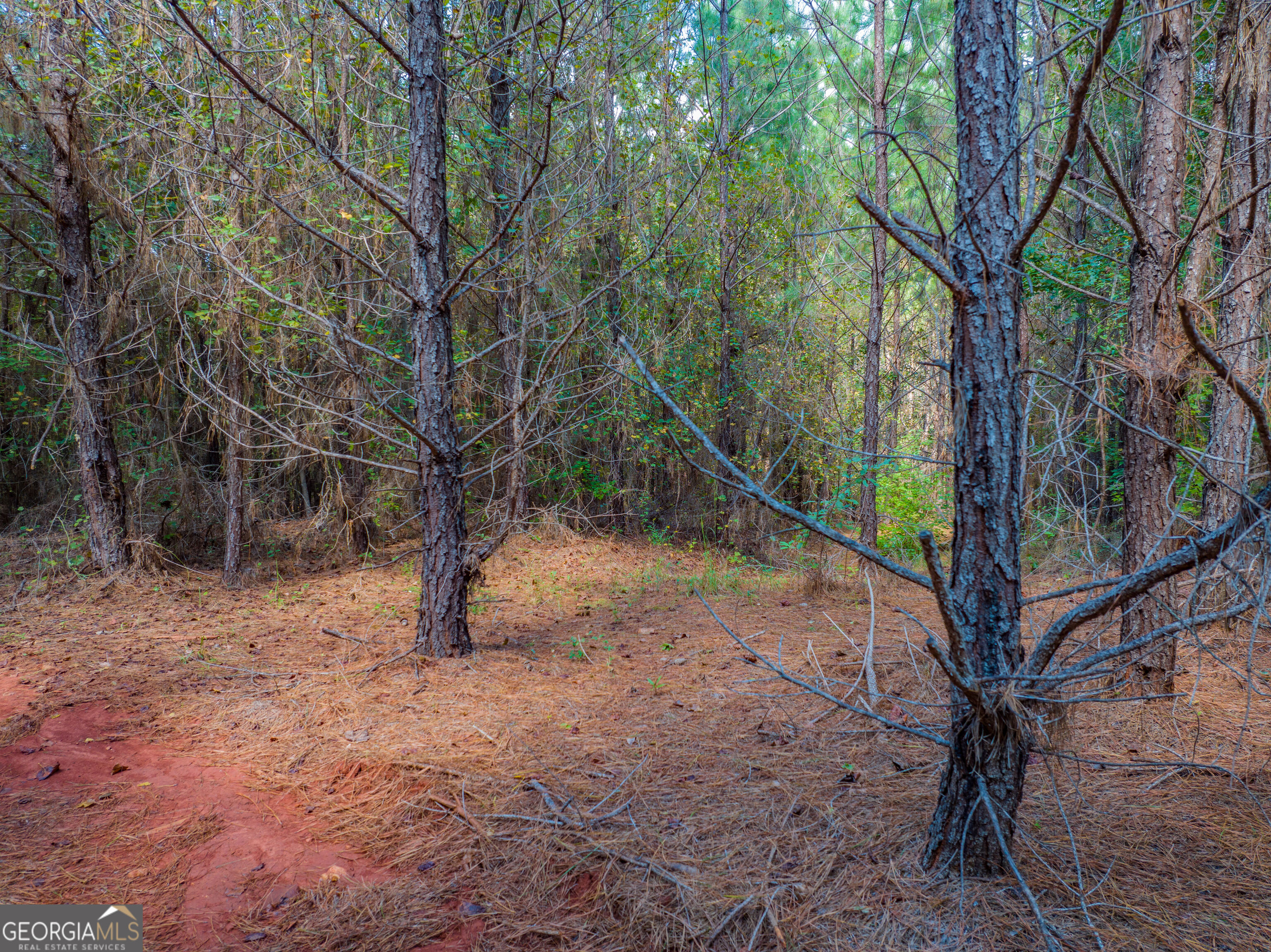 132 Acres Carlisle Gap Road Woodland GA 31836