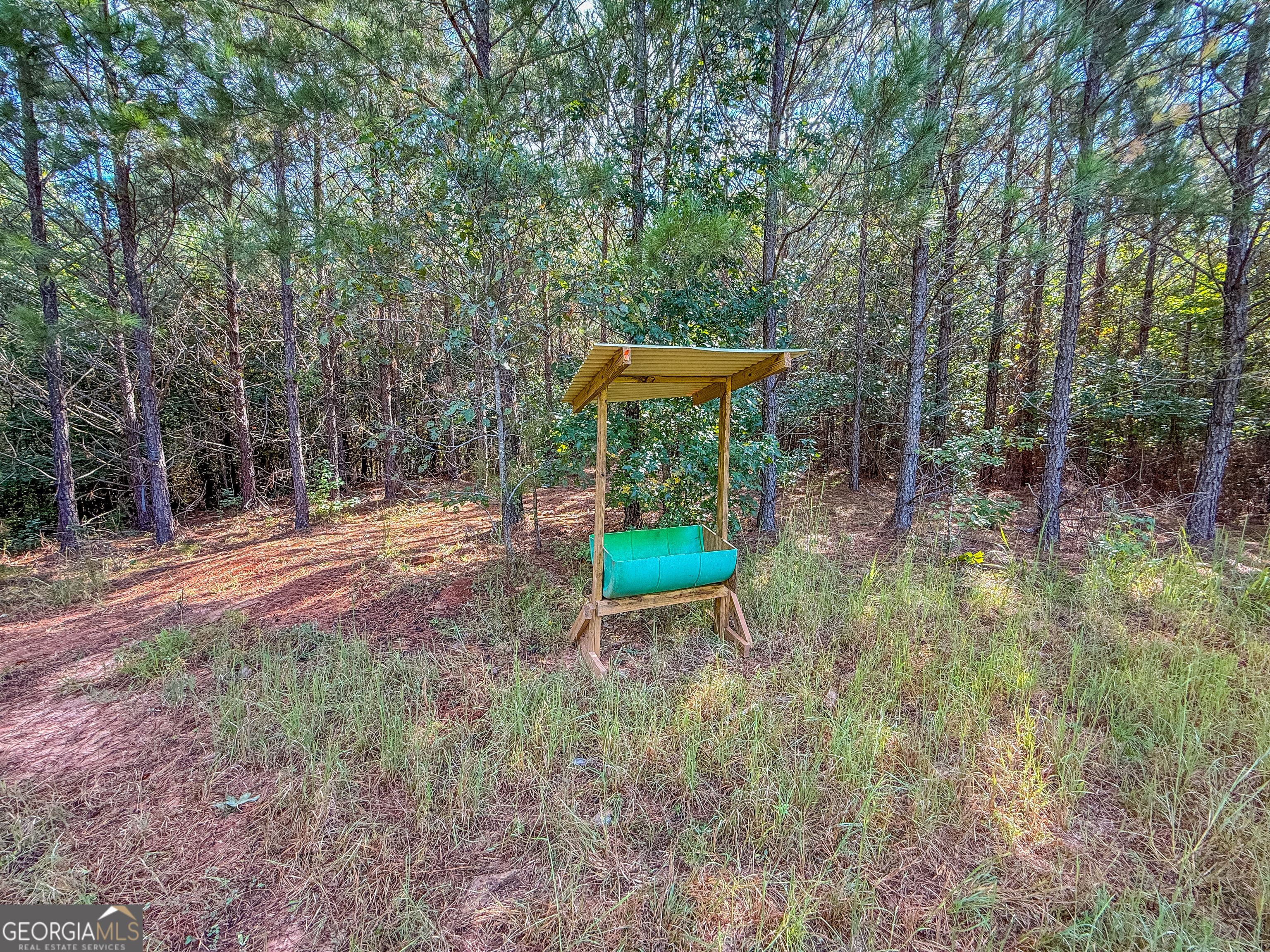 132 Acres Carlisle Gap Road Woodland GA 31836