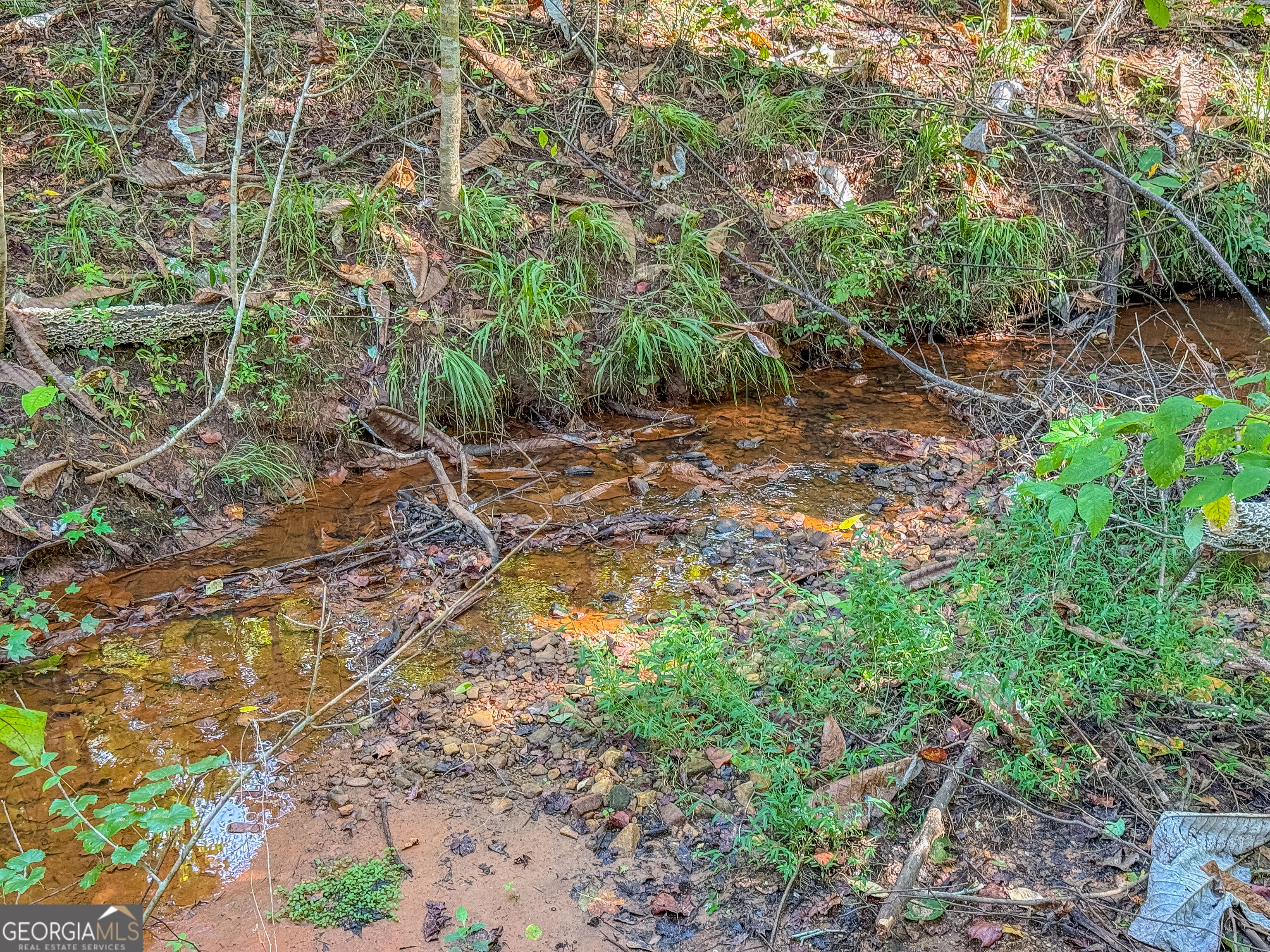 132 Acres Carlisle Gap Road Woodland GA 31836
