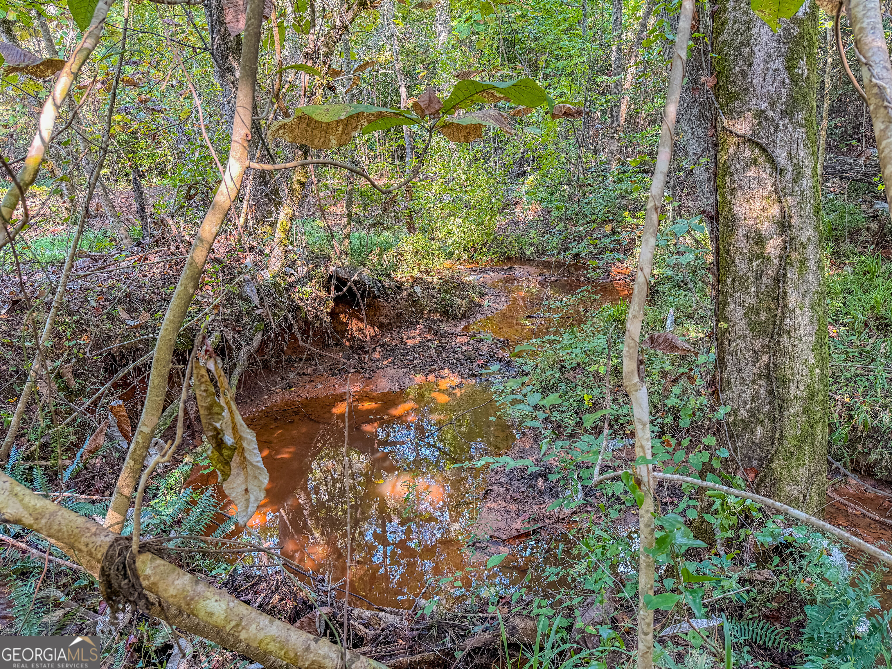 132 Acres Carlisle Gap Road Woodland GA 31836