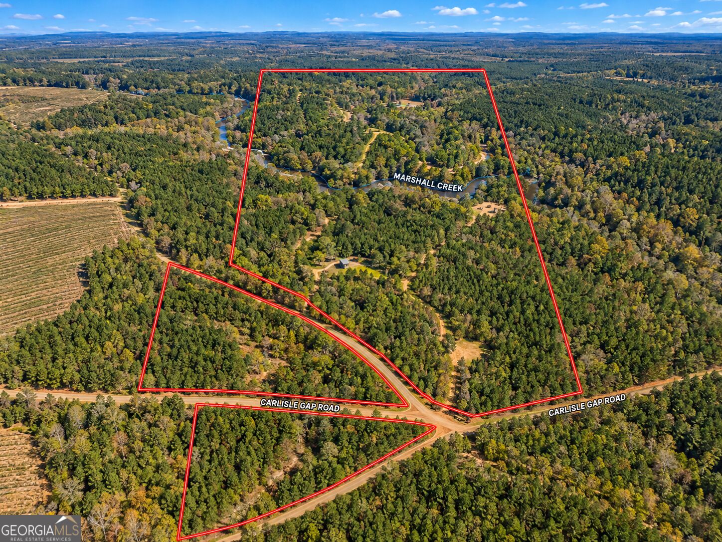 132 Acres Carlisle Gap Road Woodland GA 31836