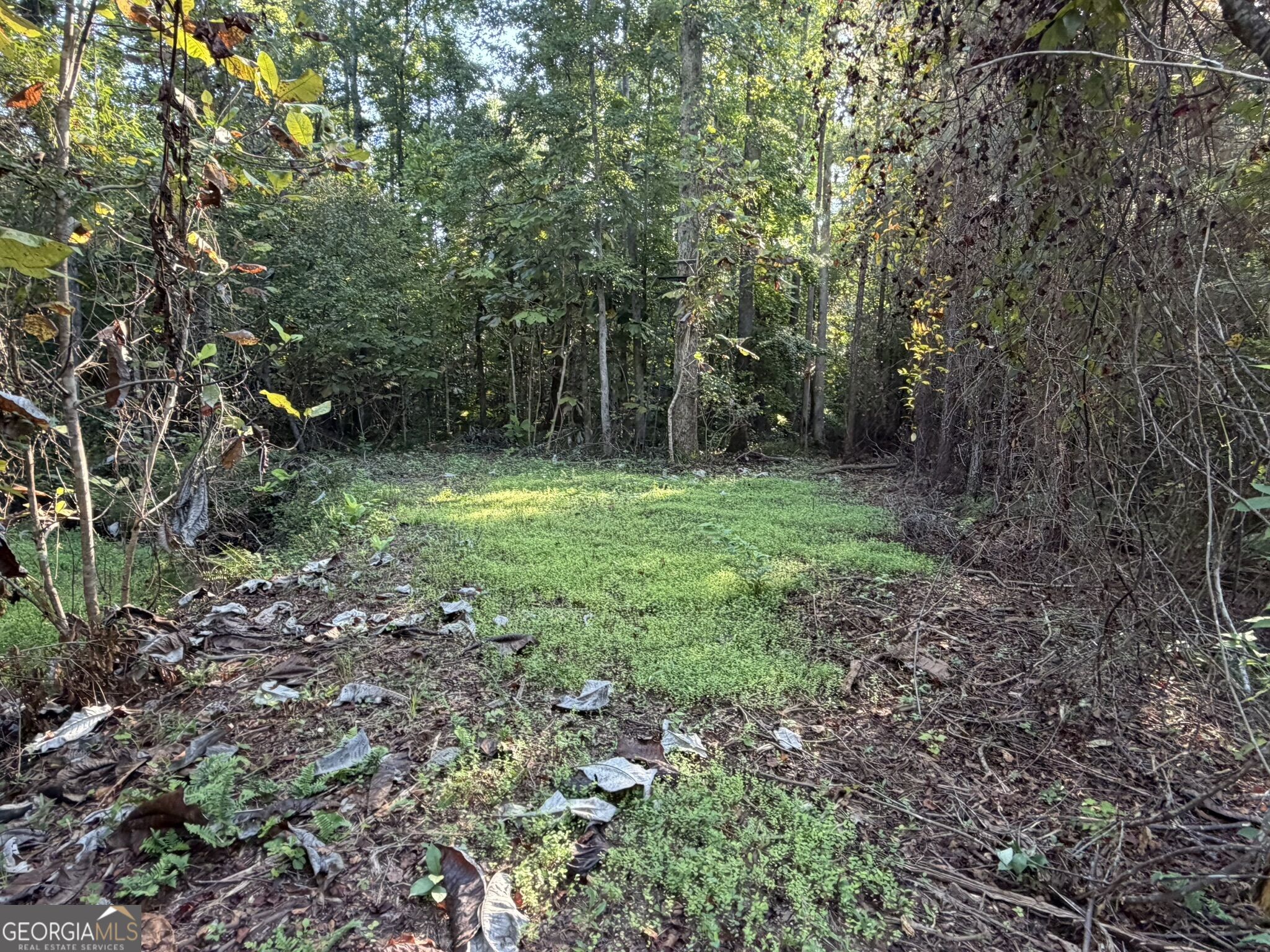 132 Acres Carlisle Gap Road Woodland GA 31836