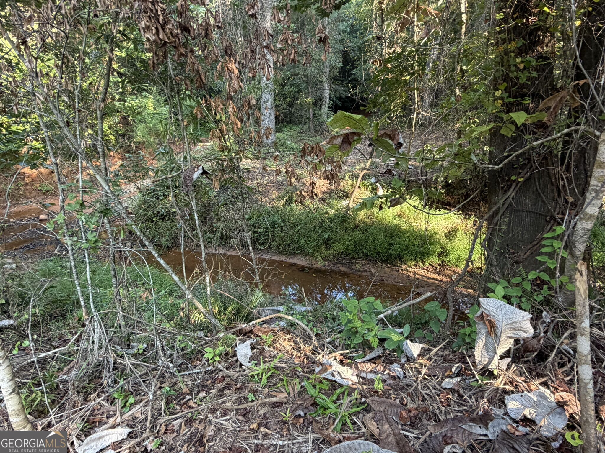 132 Acres Carlisle Gap Road Woodland GA 31836