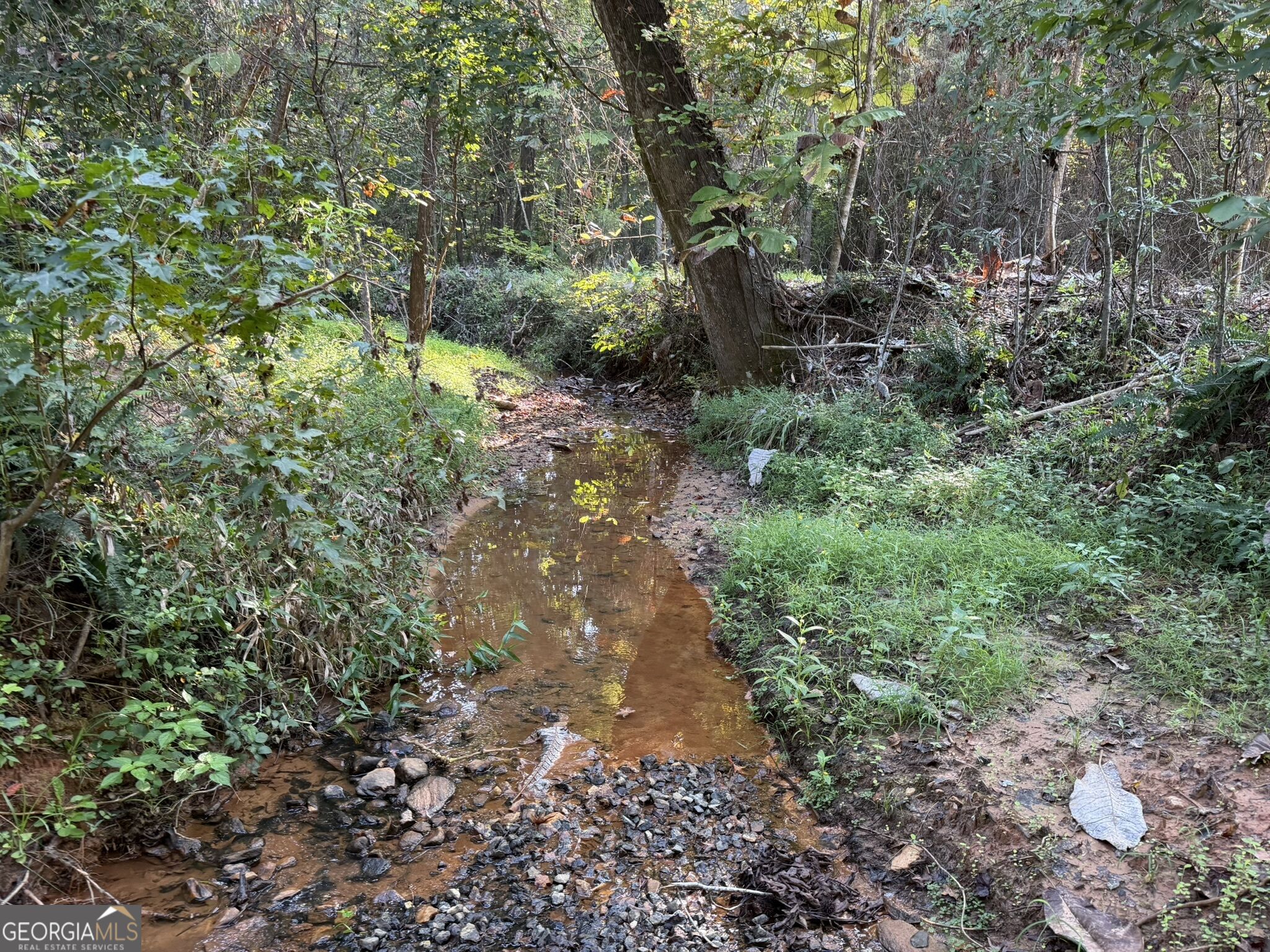 132 Acres Carlisle Gap Road Woodland GA 31836