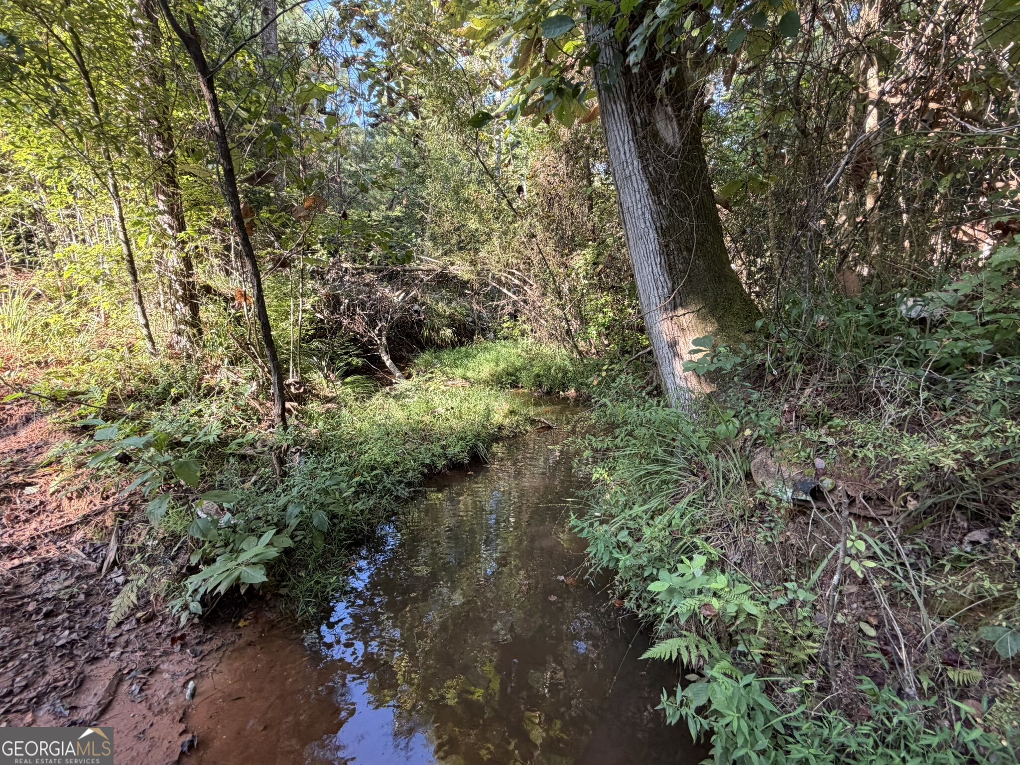 132 Acres Carlisle Gap Road Woodland GA 31836