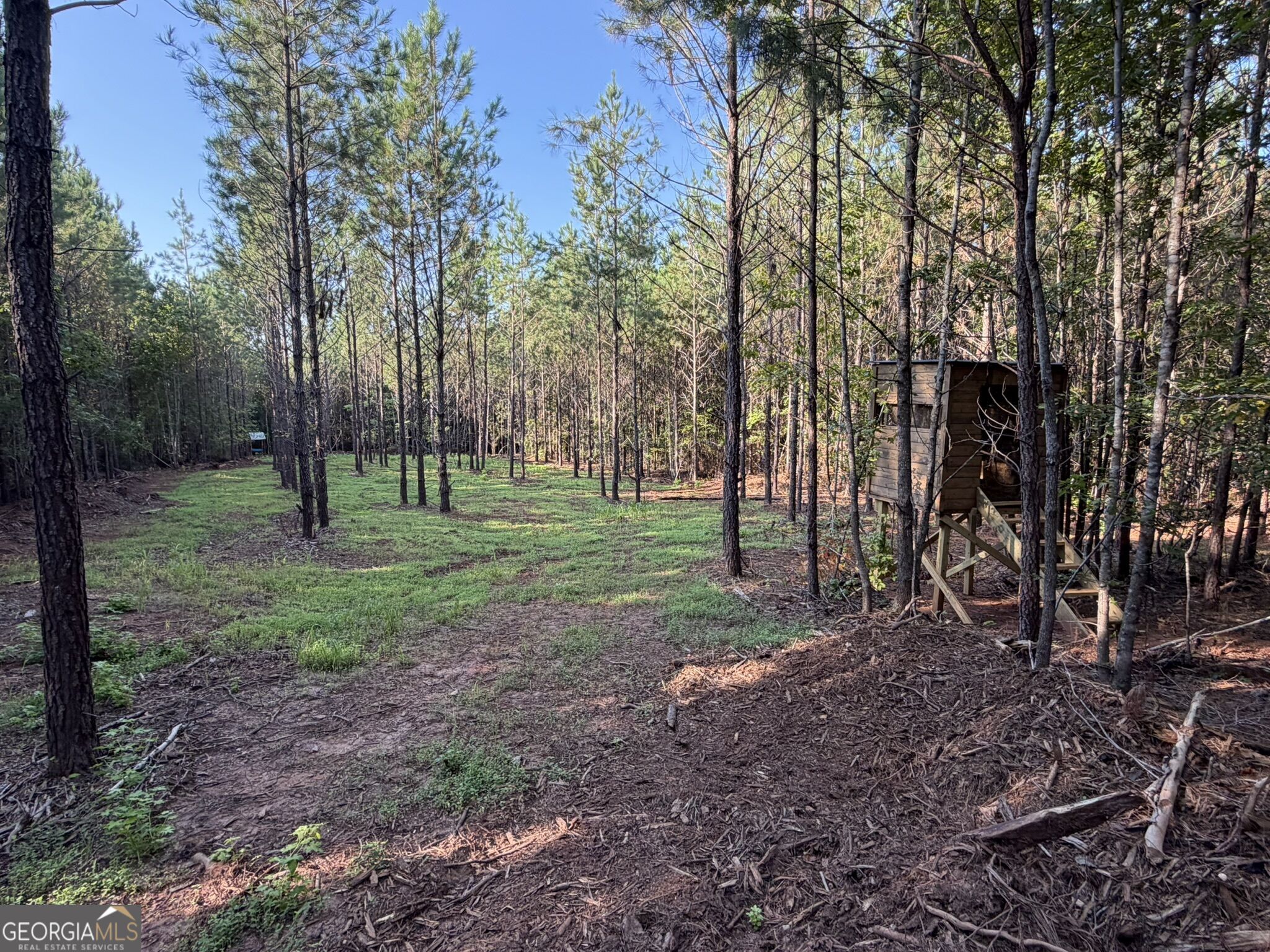 132 Acres Carlisle Gap Road Woodland GA 31836