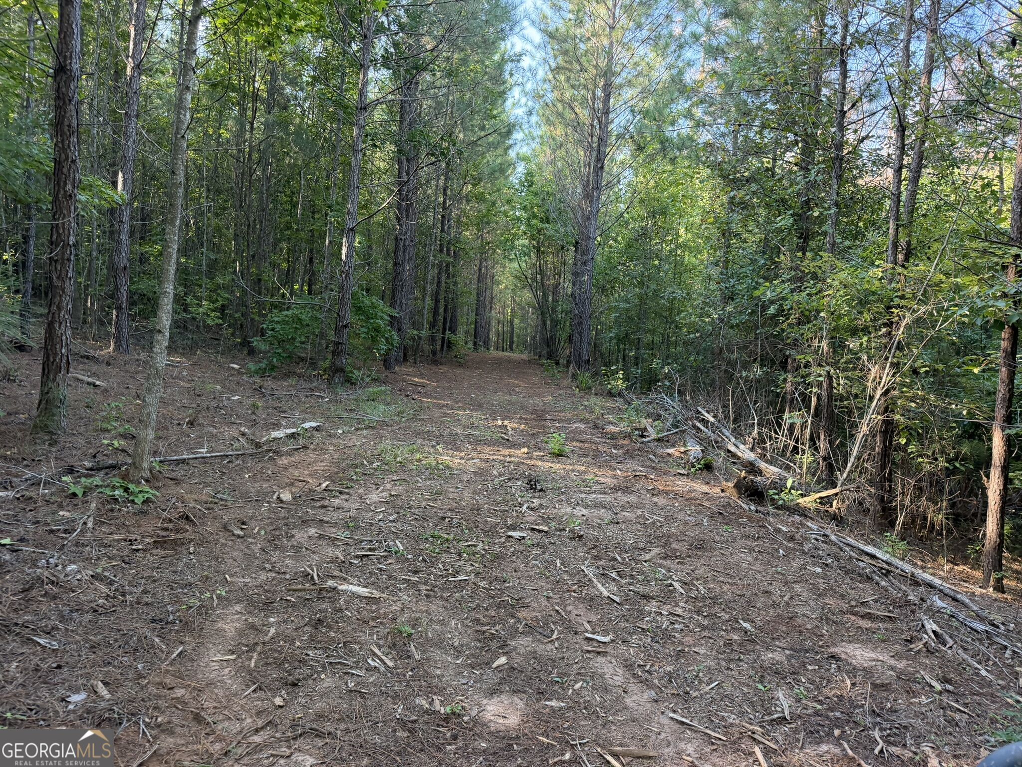 132 Acres Carlisle Gap Road Woodland GA 31836