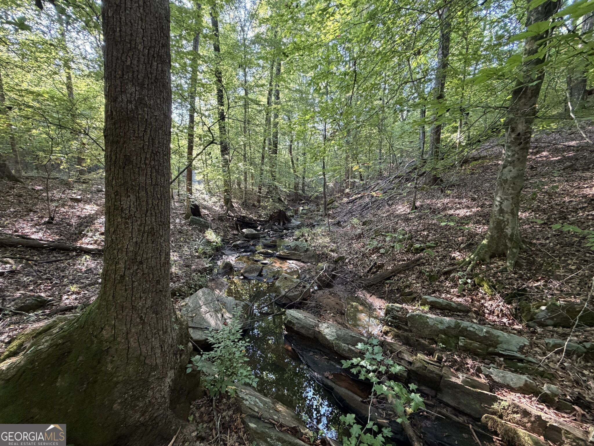 132 Acres Carlisle Gap Road Woodland GA 31836