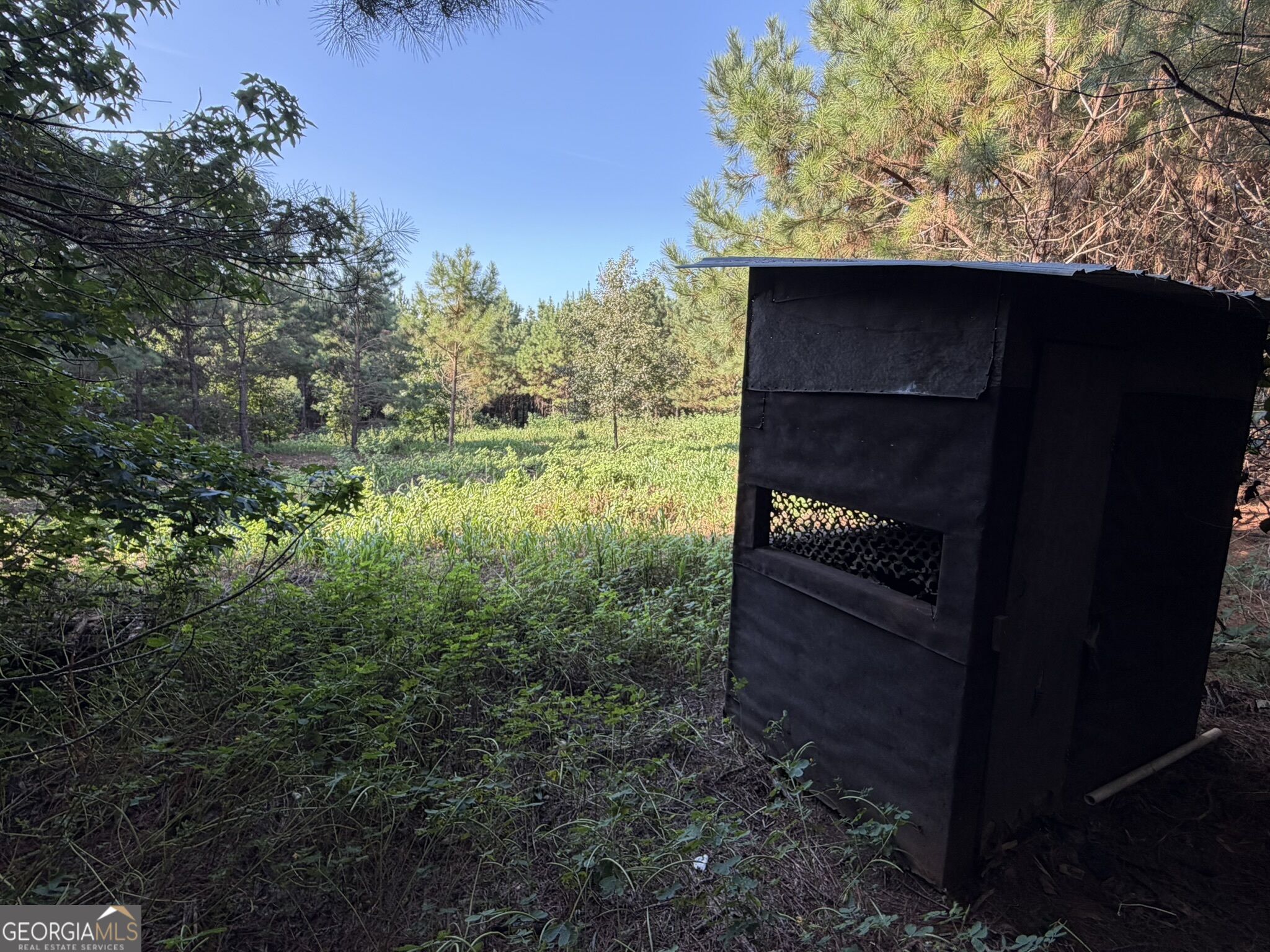 132 Acres Carlisle Gap Road Woodland GA 31836
