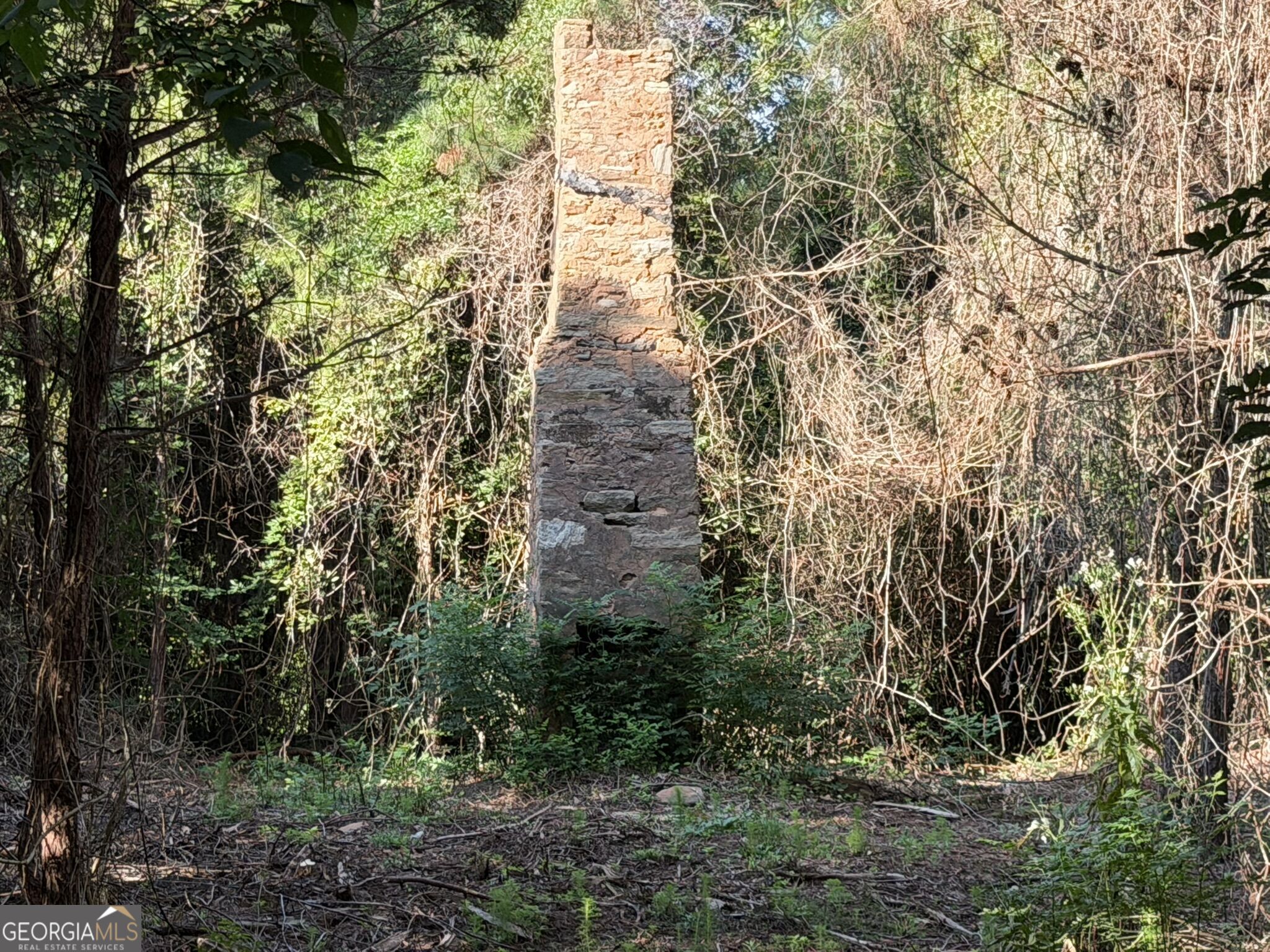 132 Acres Carlisle Gap Road Woodland GA 31836