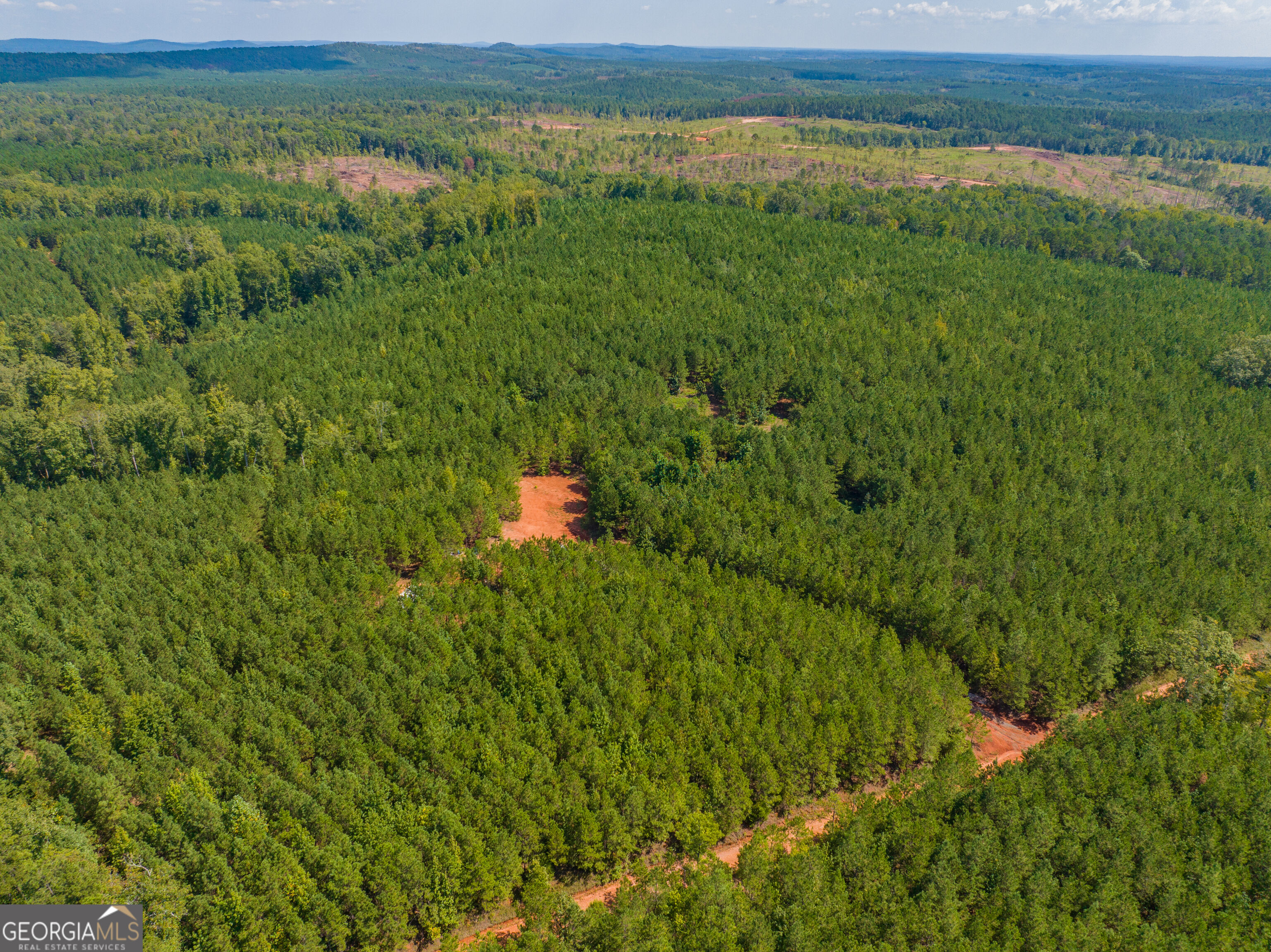 132 Acres Carlisle Gap Road Woodland GA 31836
