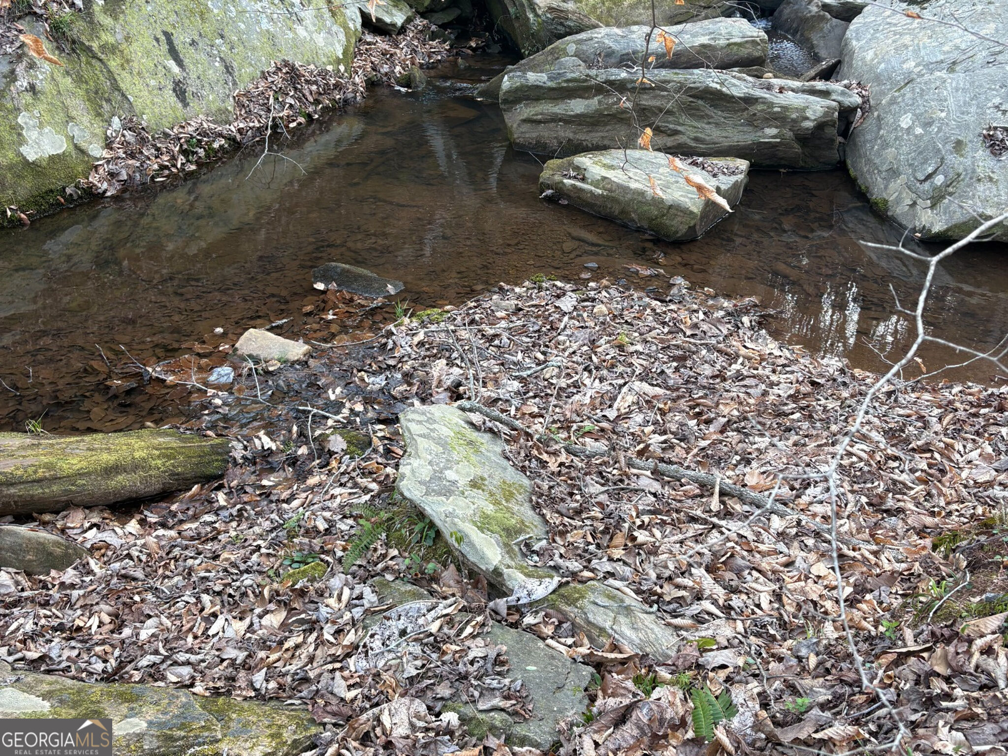 132 Acres Carlisle Gap Road Woodland GA 31836