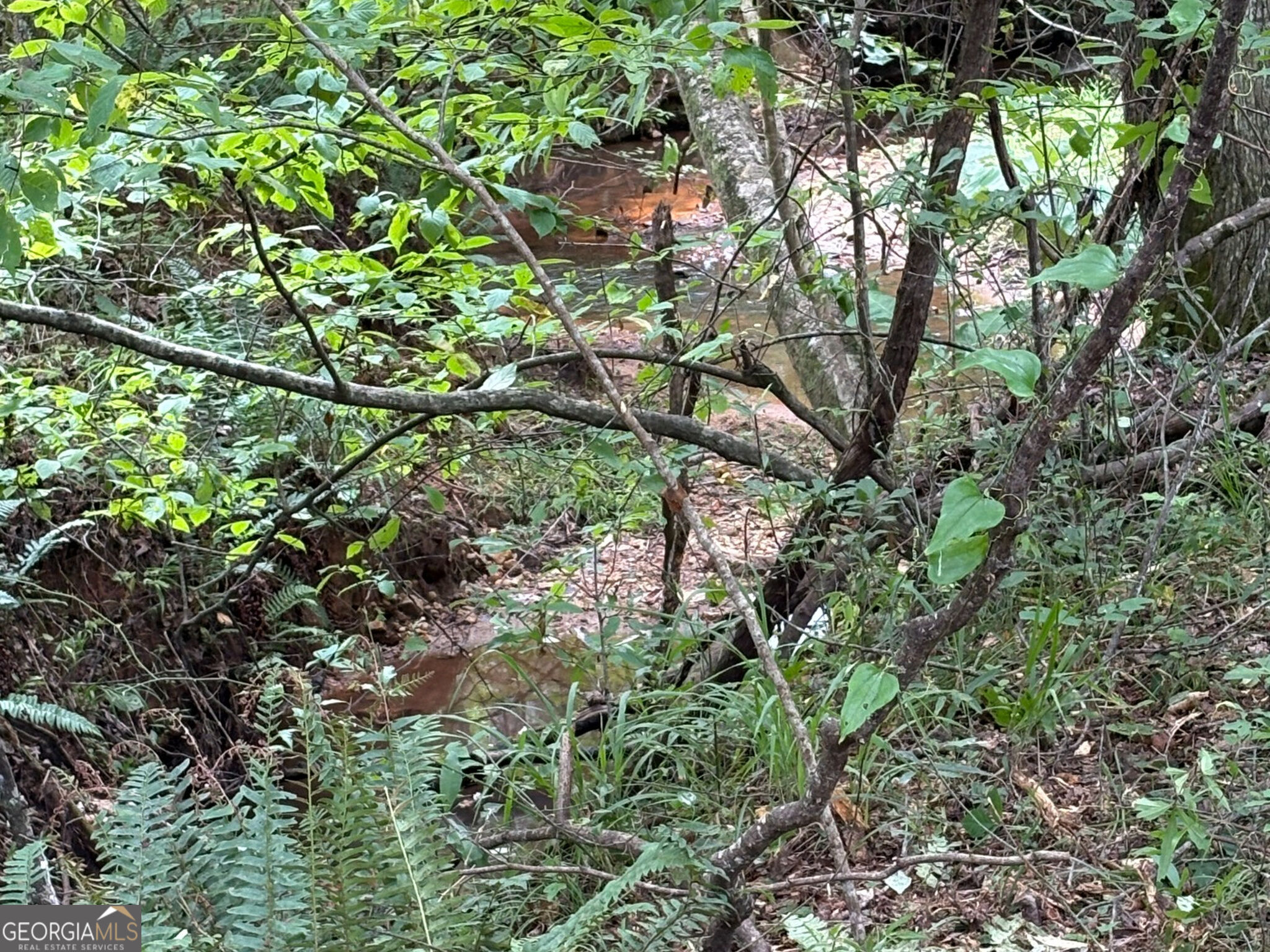 132 Acres Carlisle Gap Road Woodland GA 31836