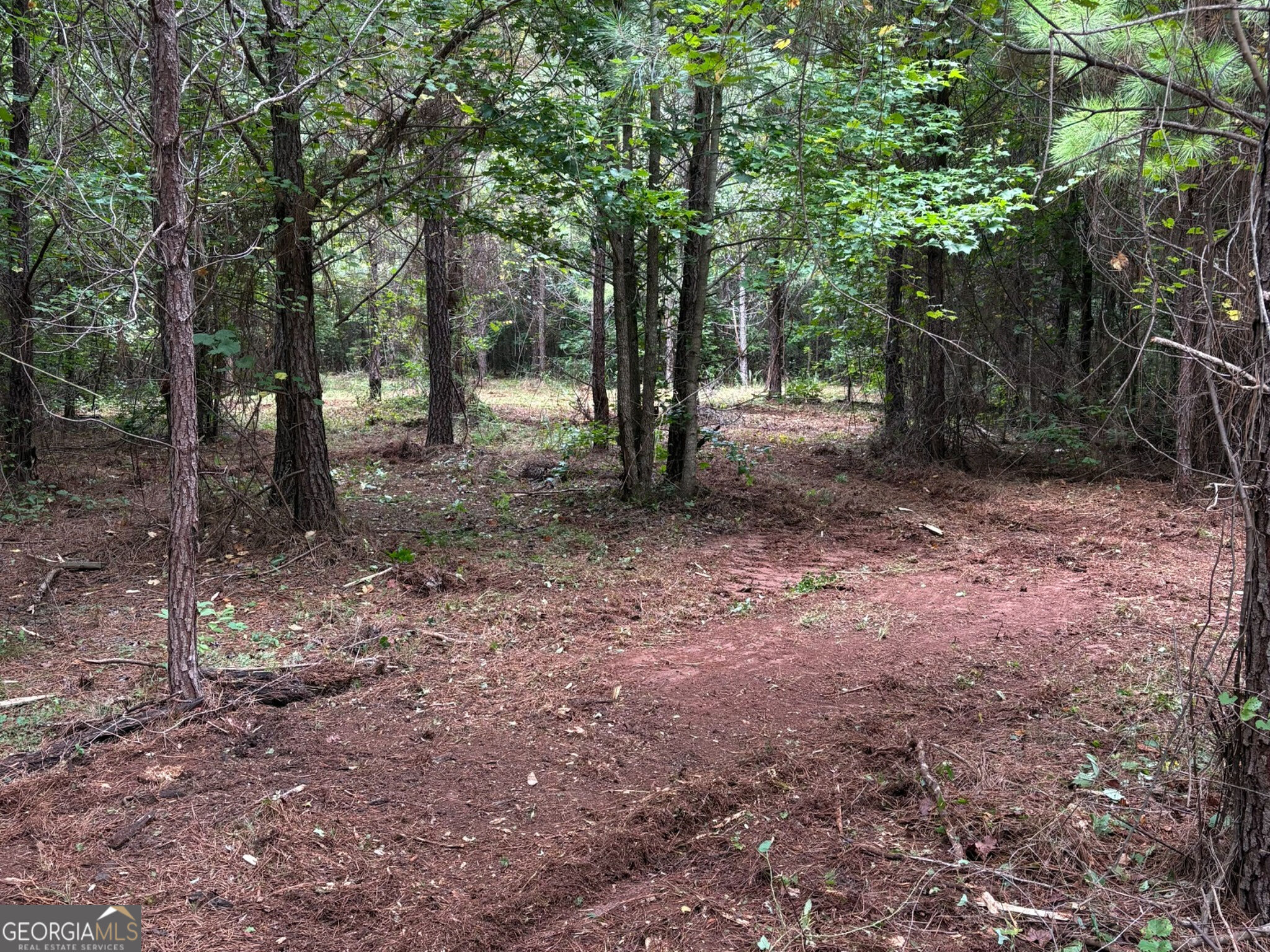 132 Acres Carlisle Gap Road Woodland GA 31836