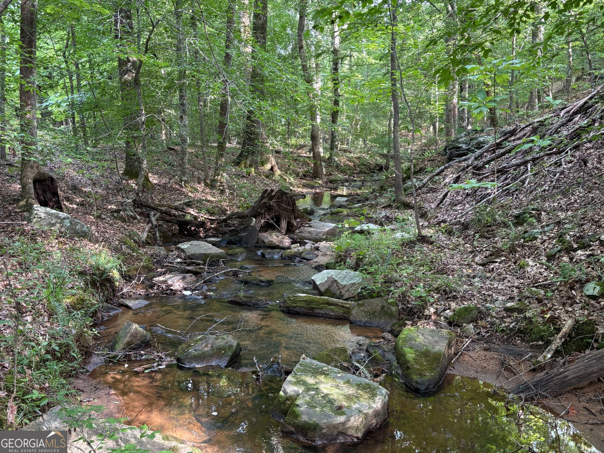 132 Acres Carlisle Gap Road Woodland GA 31836