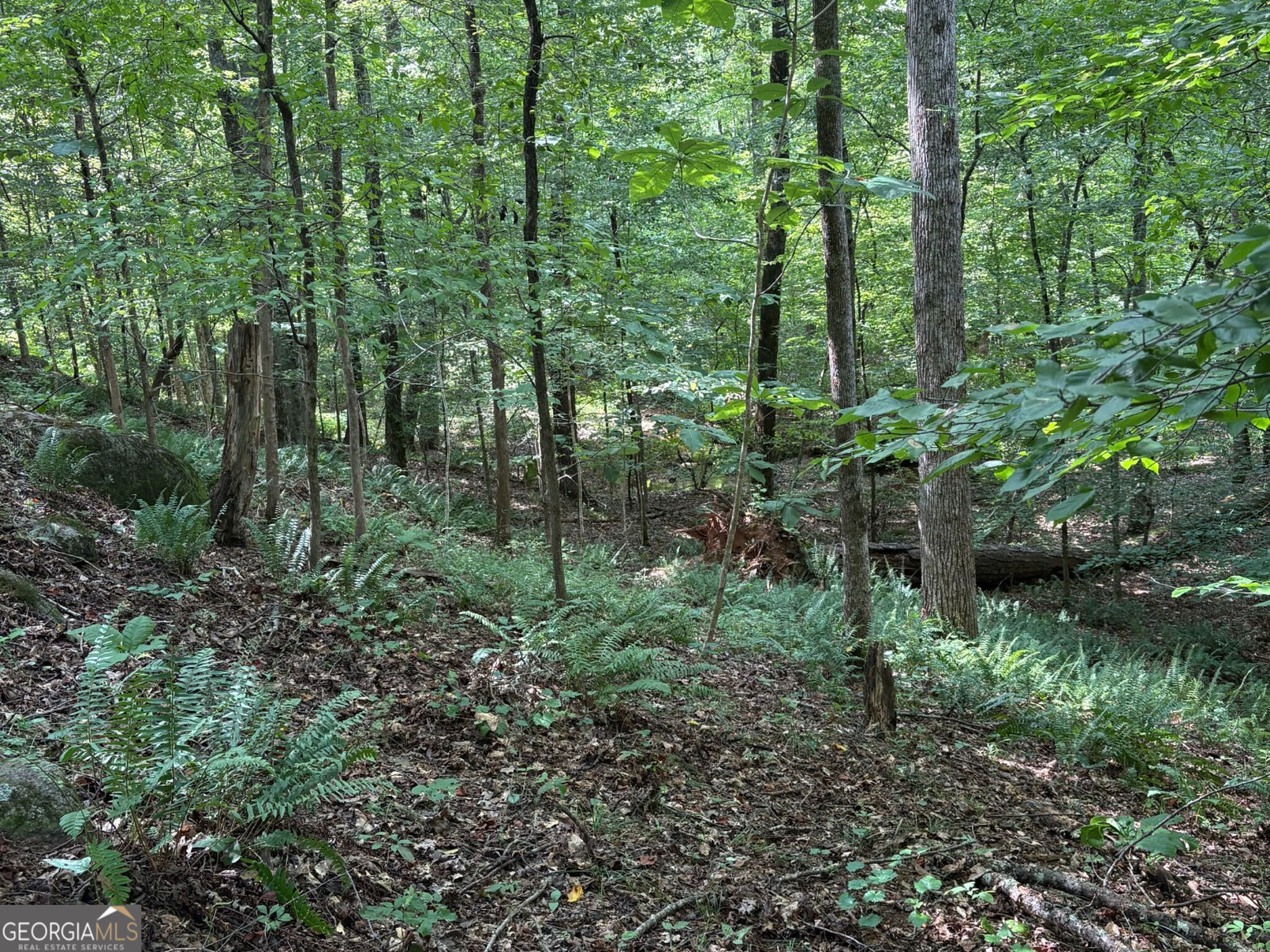 132 Acres Carlisle Gap Road Woodland GA 31836