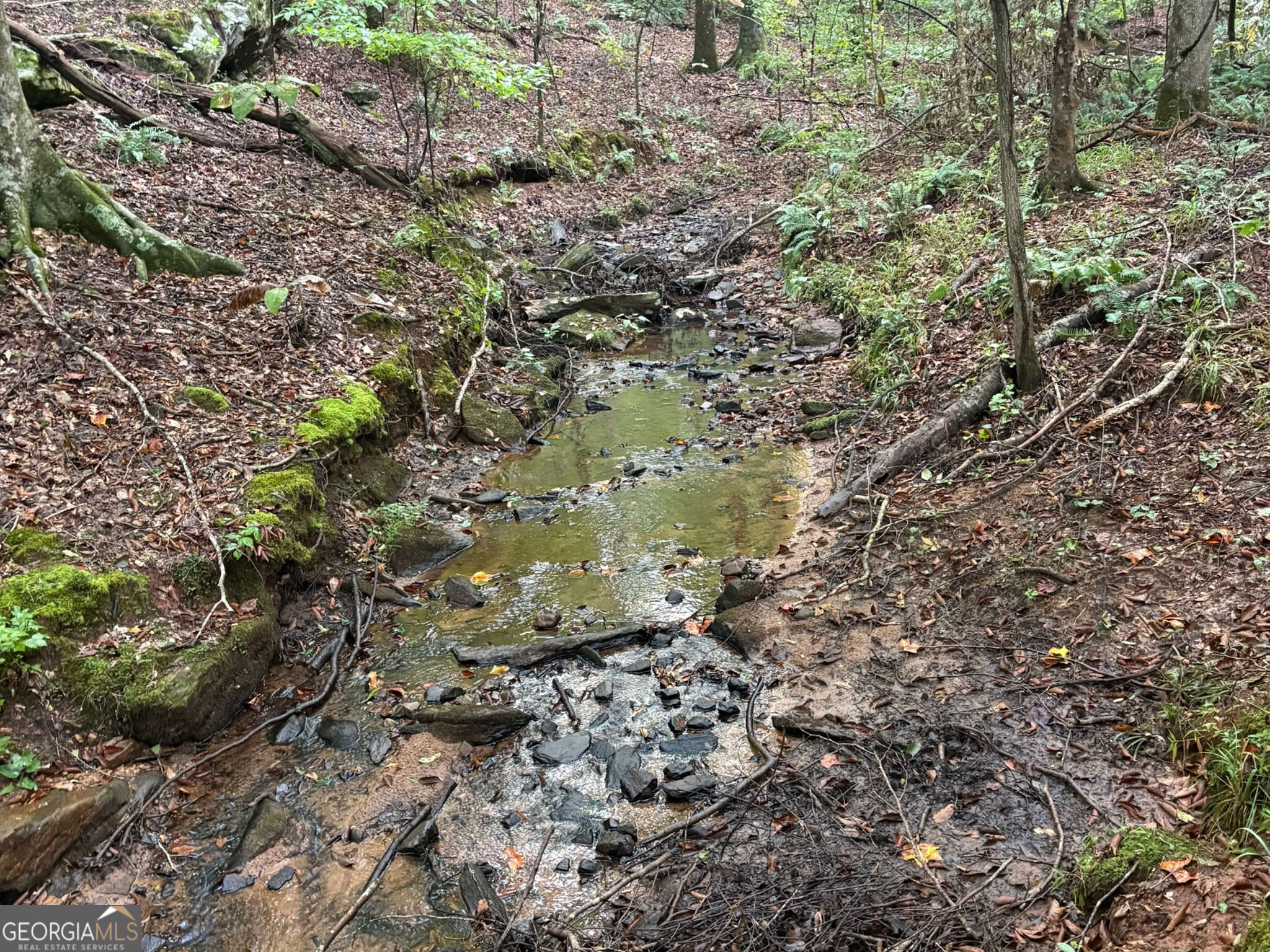 132 Acres Carlisle Gap Road Woodland GA 31836
