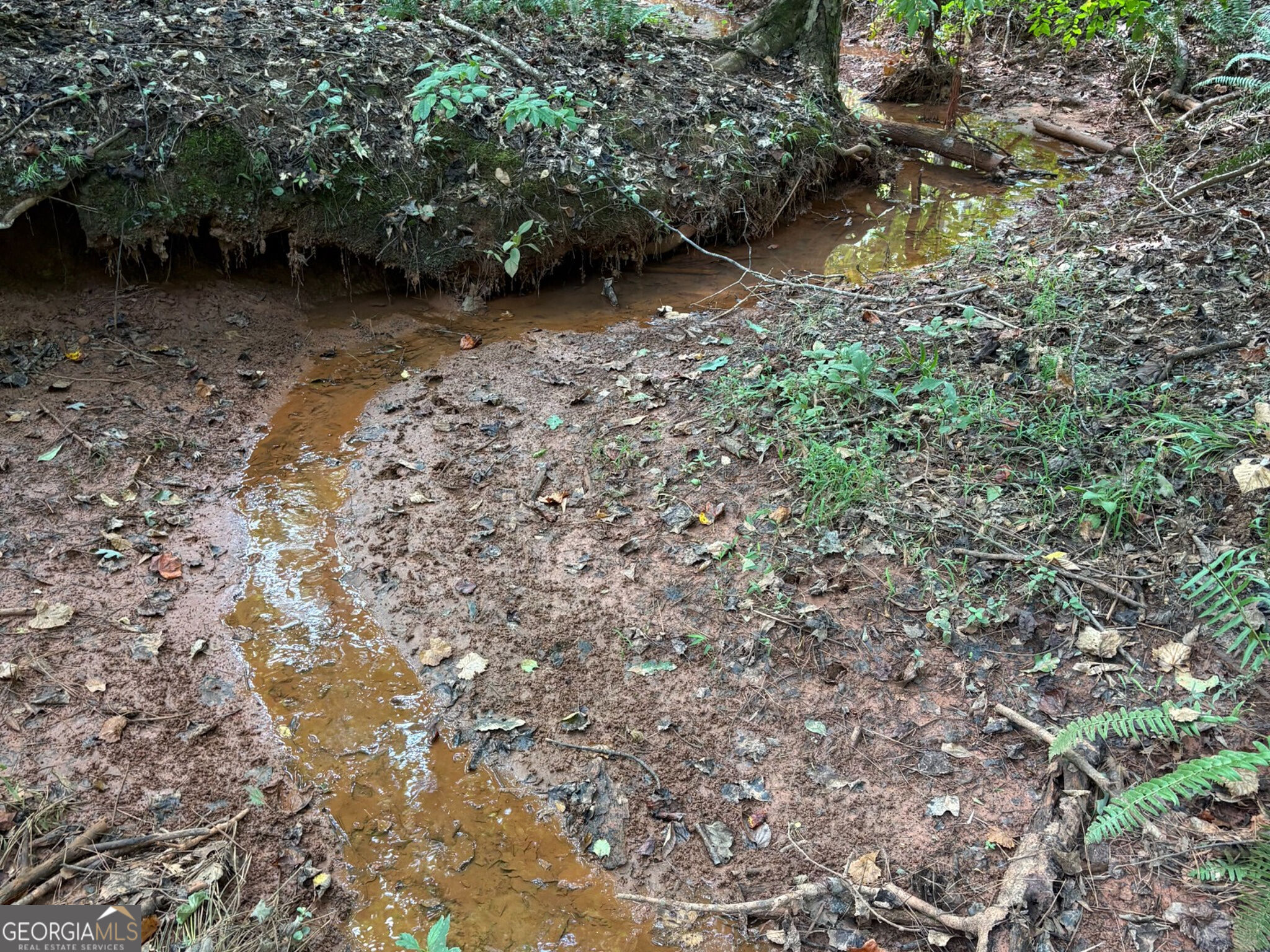 132 Acres Carlisle Gap Road Woodland GA 31836