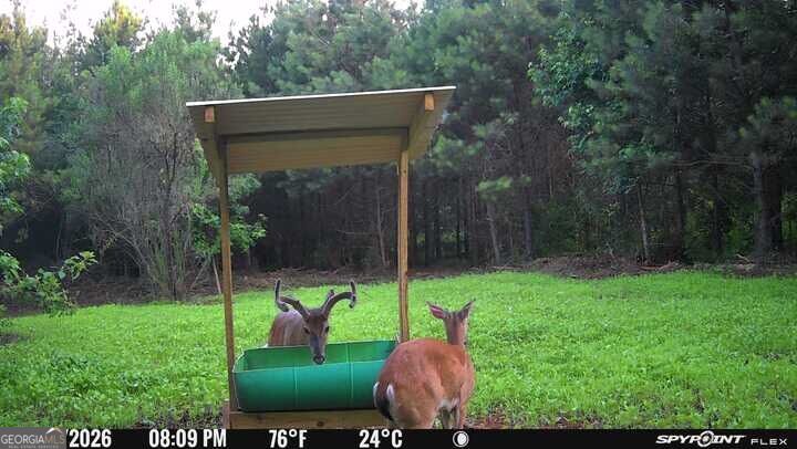 132 Acres Carlisle Gap Road Woodland GA 31836