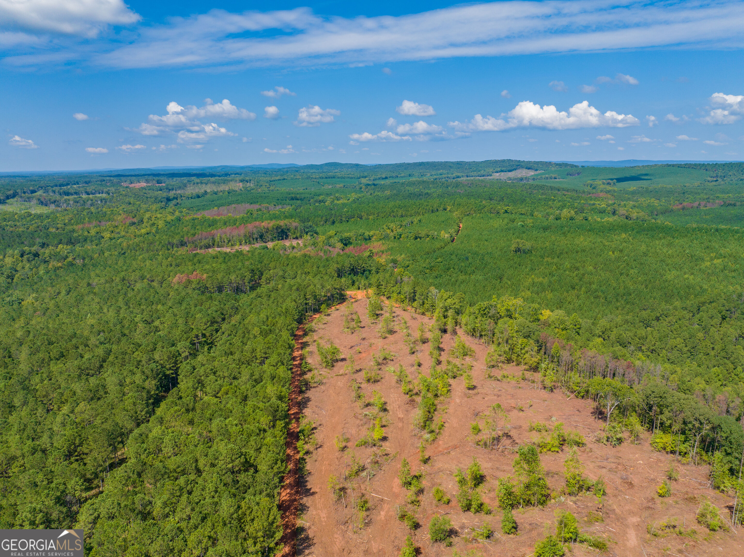132 Acres Carlisle Gap Road Woodland GA 31836