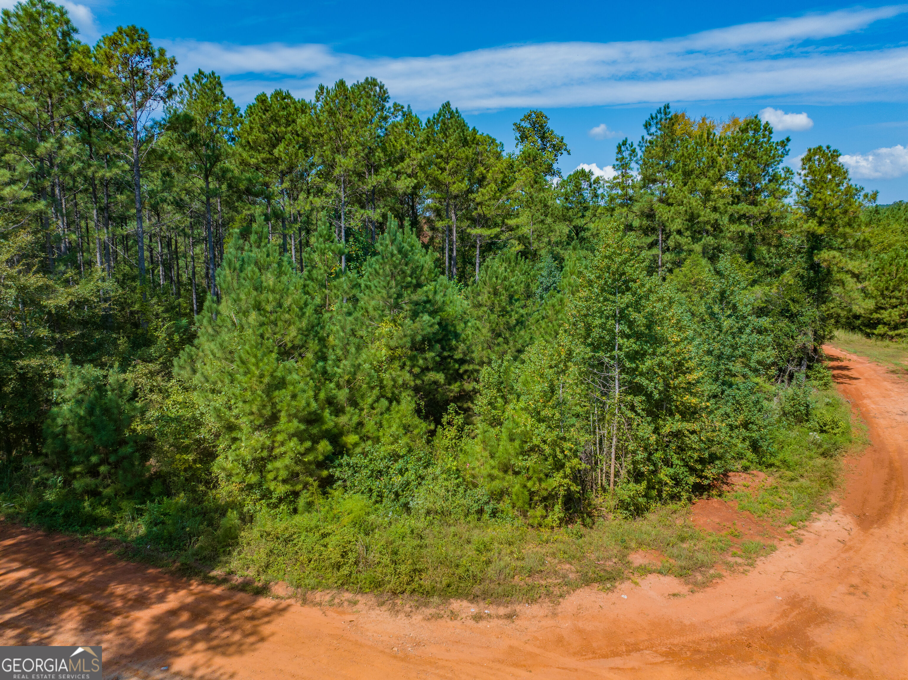 132 Acres Carlisle Gap Road Woodland GA 31836