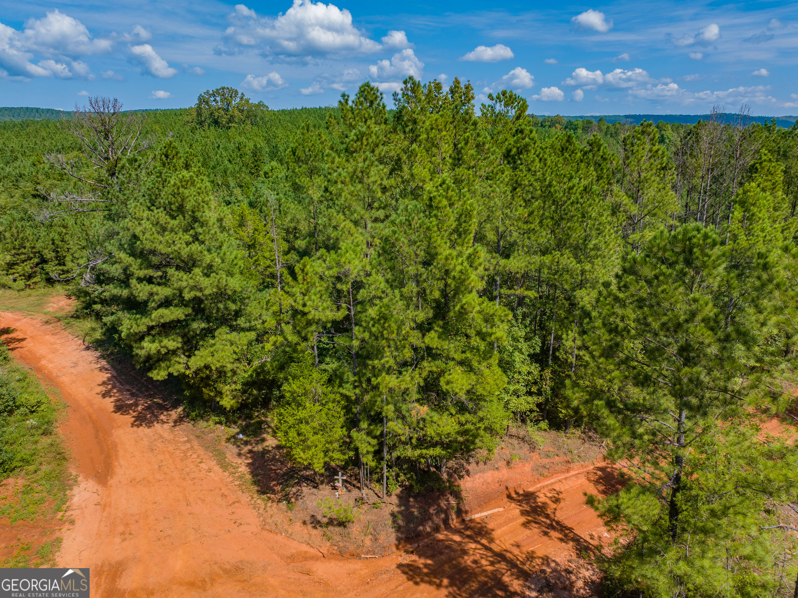 132 Acres Carlisle Gap Road Woodland GA 31836
