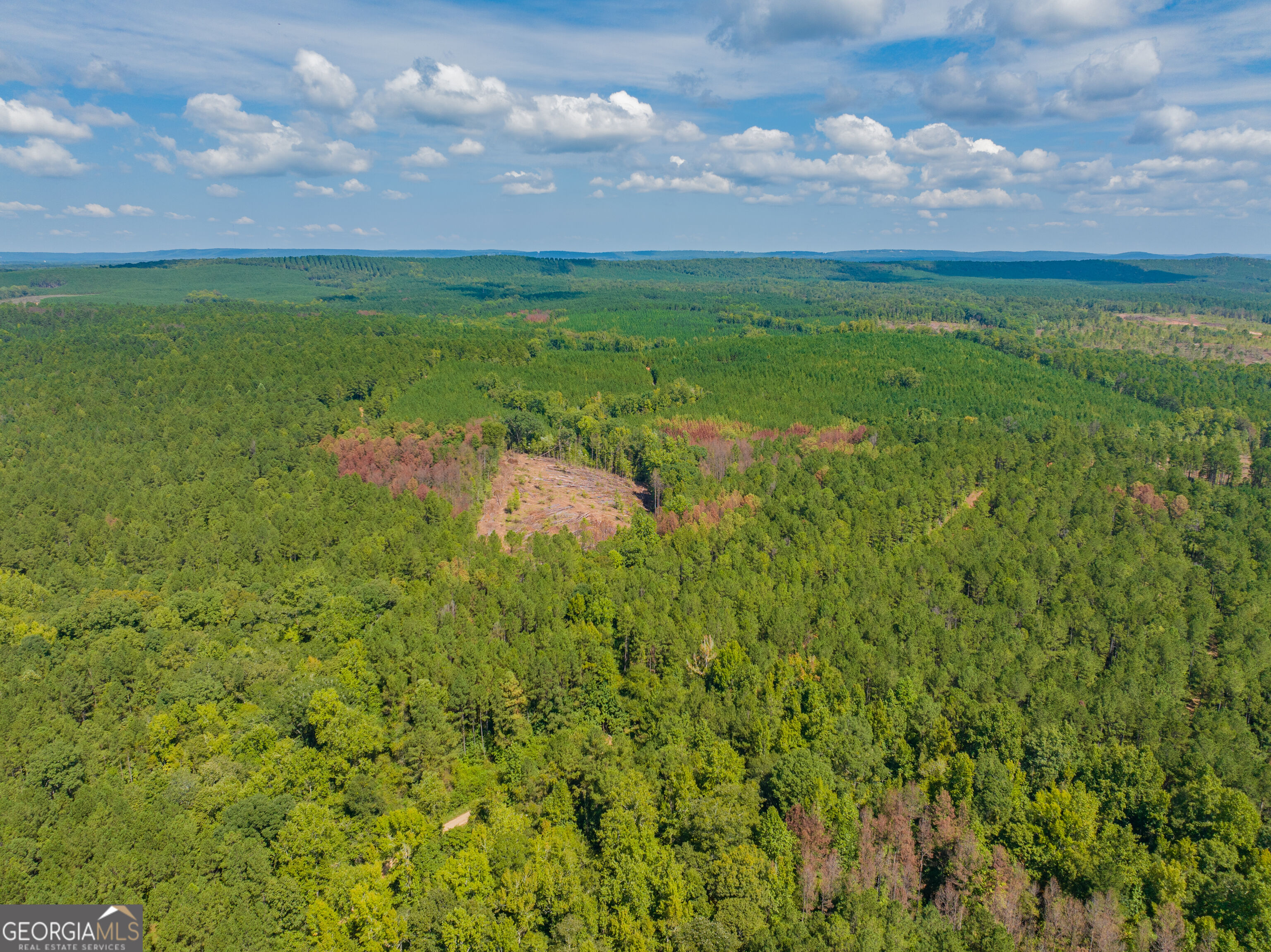 132 Acres Carlisle Gap Road Woodland GA 31836