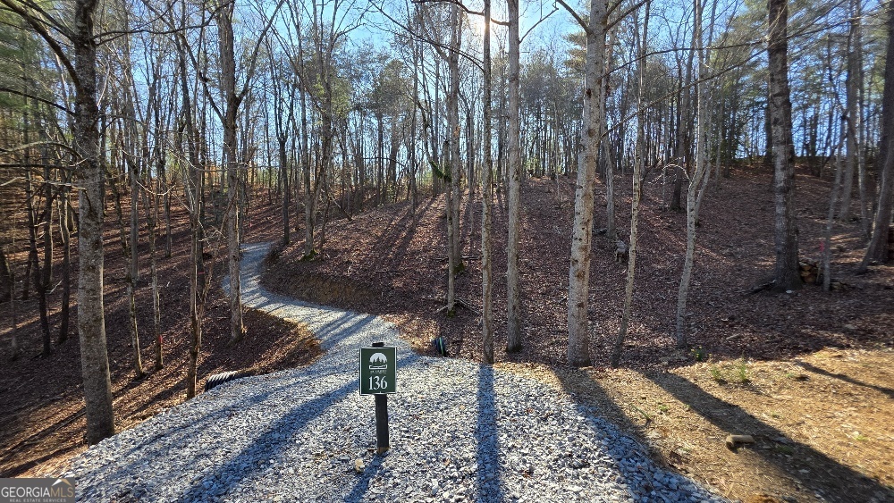136 Red Oak Trail East Ellijay GA 30540