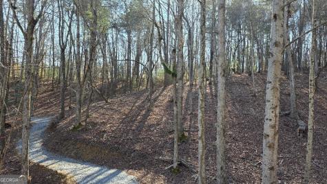 136 Red Oak Trail East Ellijay GA 30540