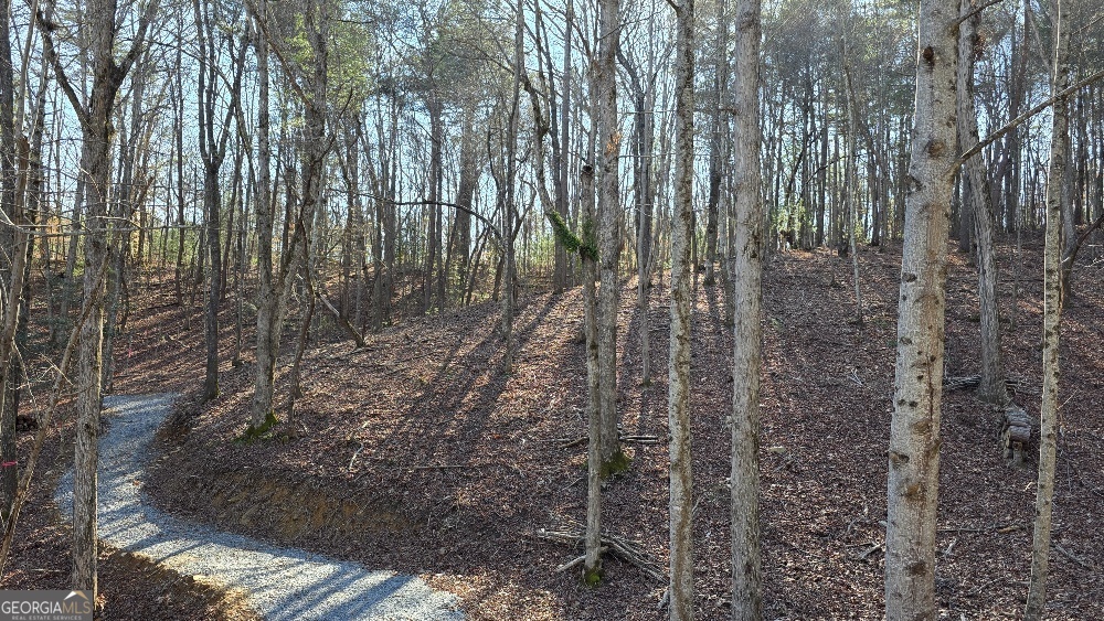136 Red Oak Trail East Ellijay GA 30540