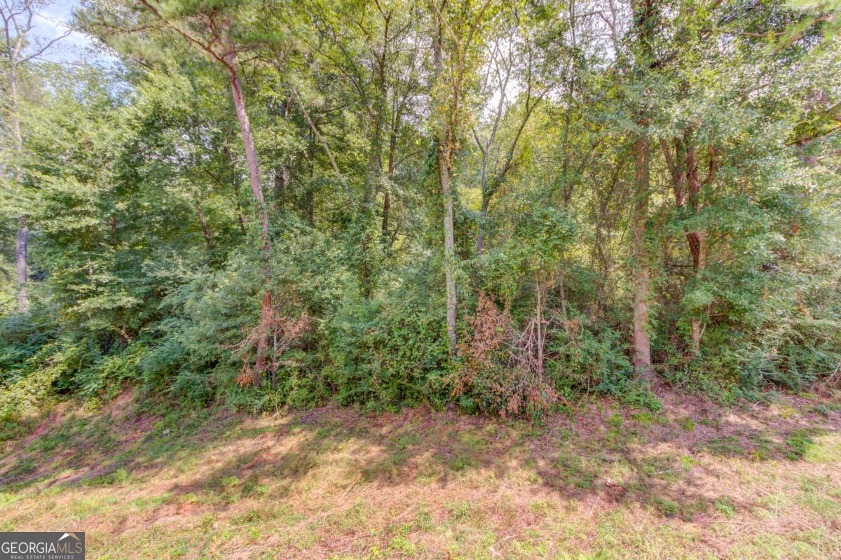 7207 Spout Springs Road Flowery Branch GA 30542