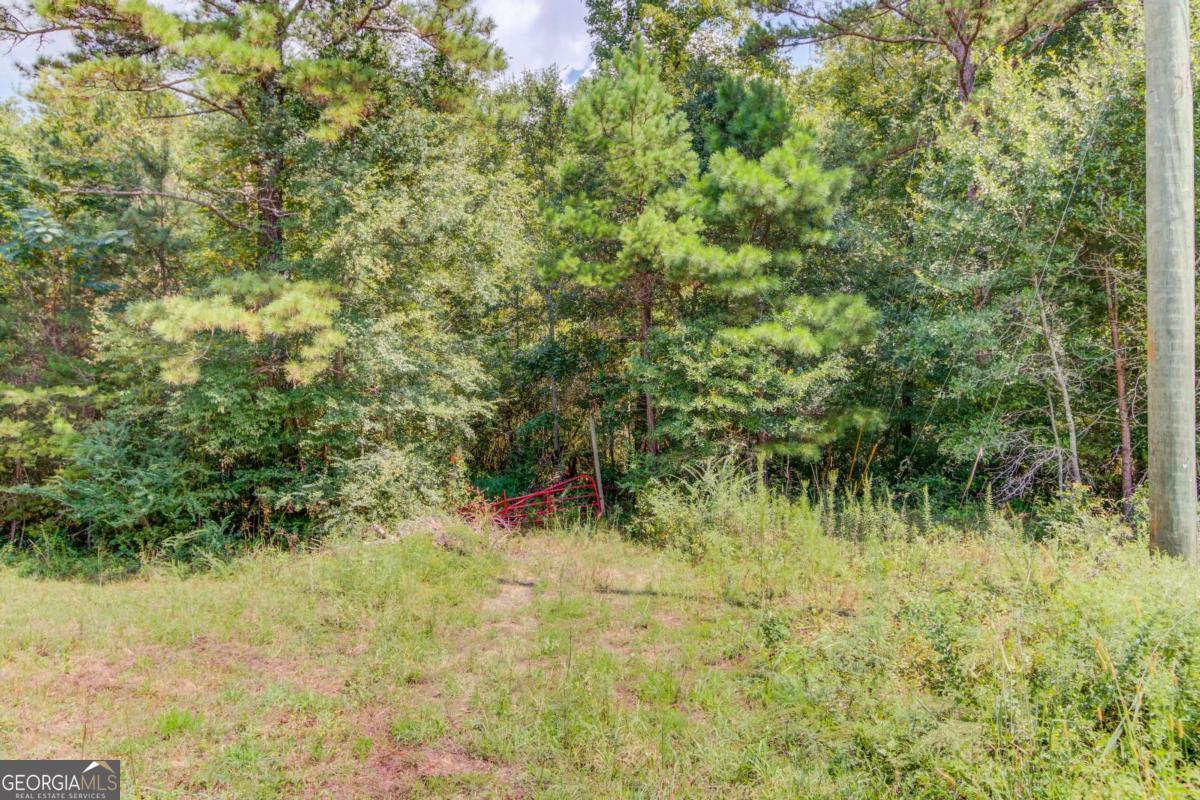 7207 Spout Springs Road Flowery Branch GA 30542