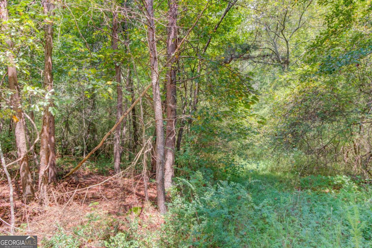 7207 Spout Springs Road Flowery Branch GA 30542