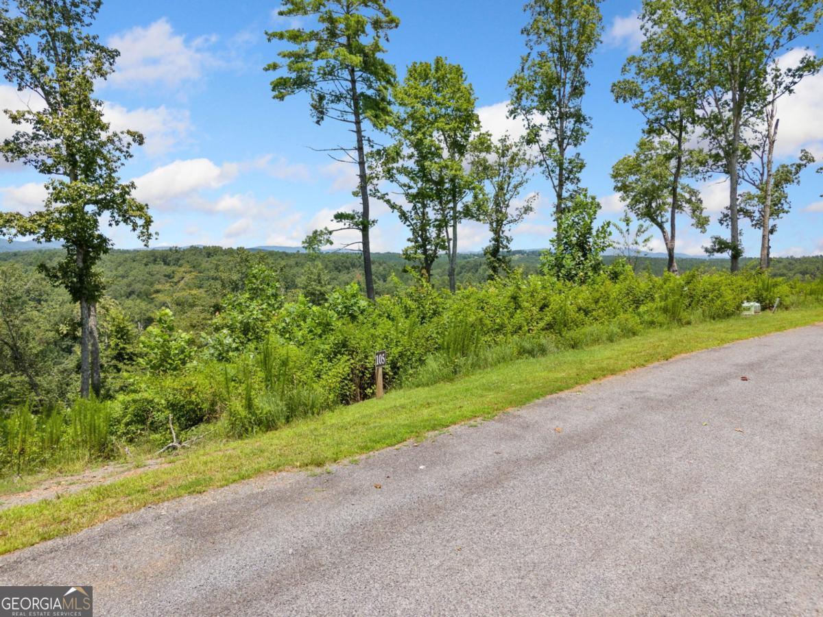105 River Knoll Trail Ellijay GA 30540