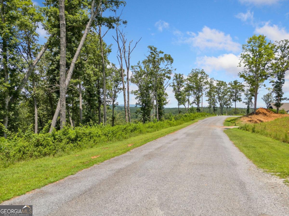 105 River Knoll Trail Ellijay GA 30540